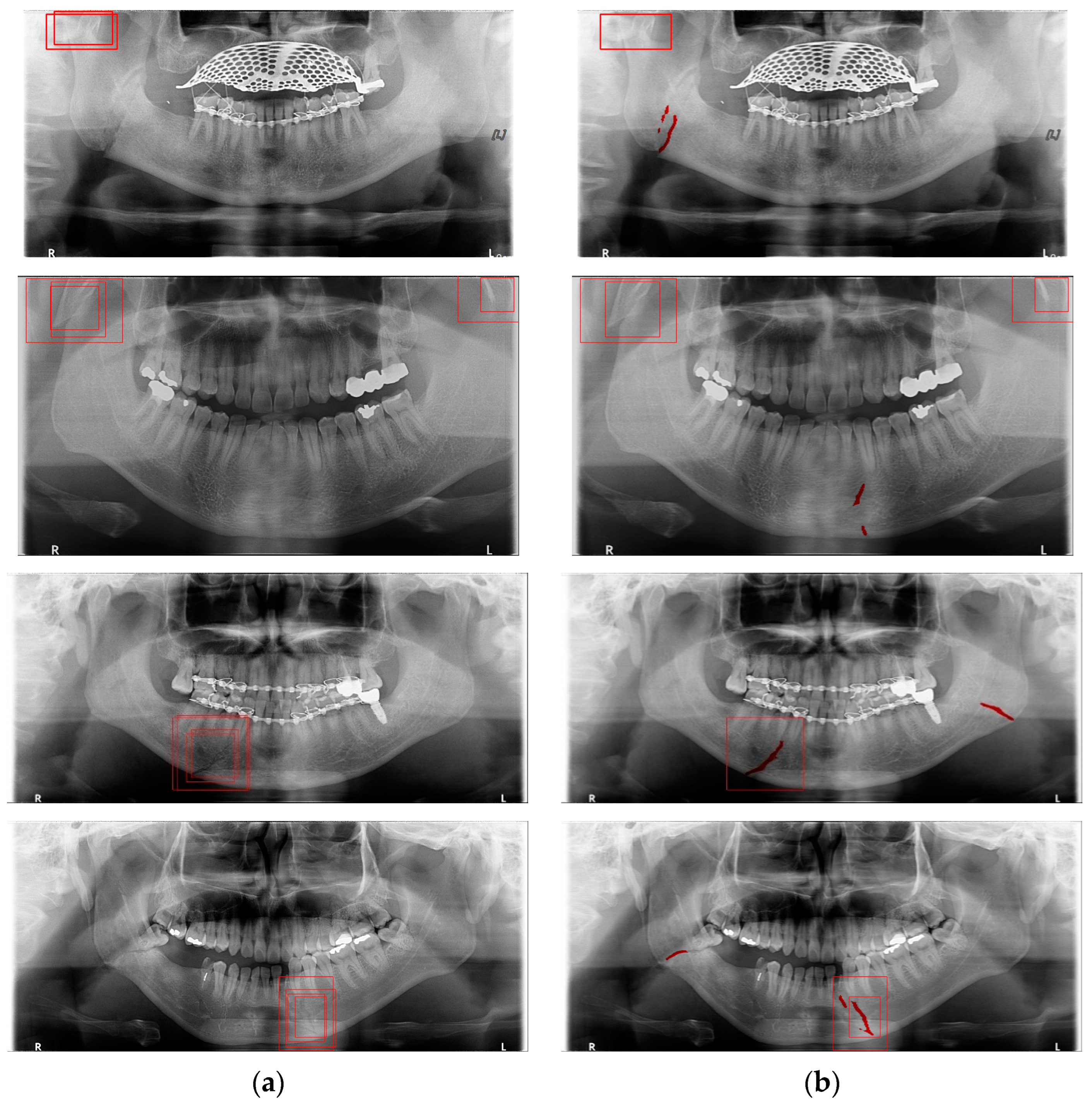 Life 12 01711 g017 Life 12 01711 g017