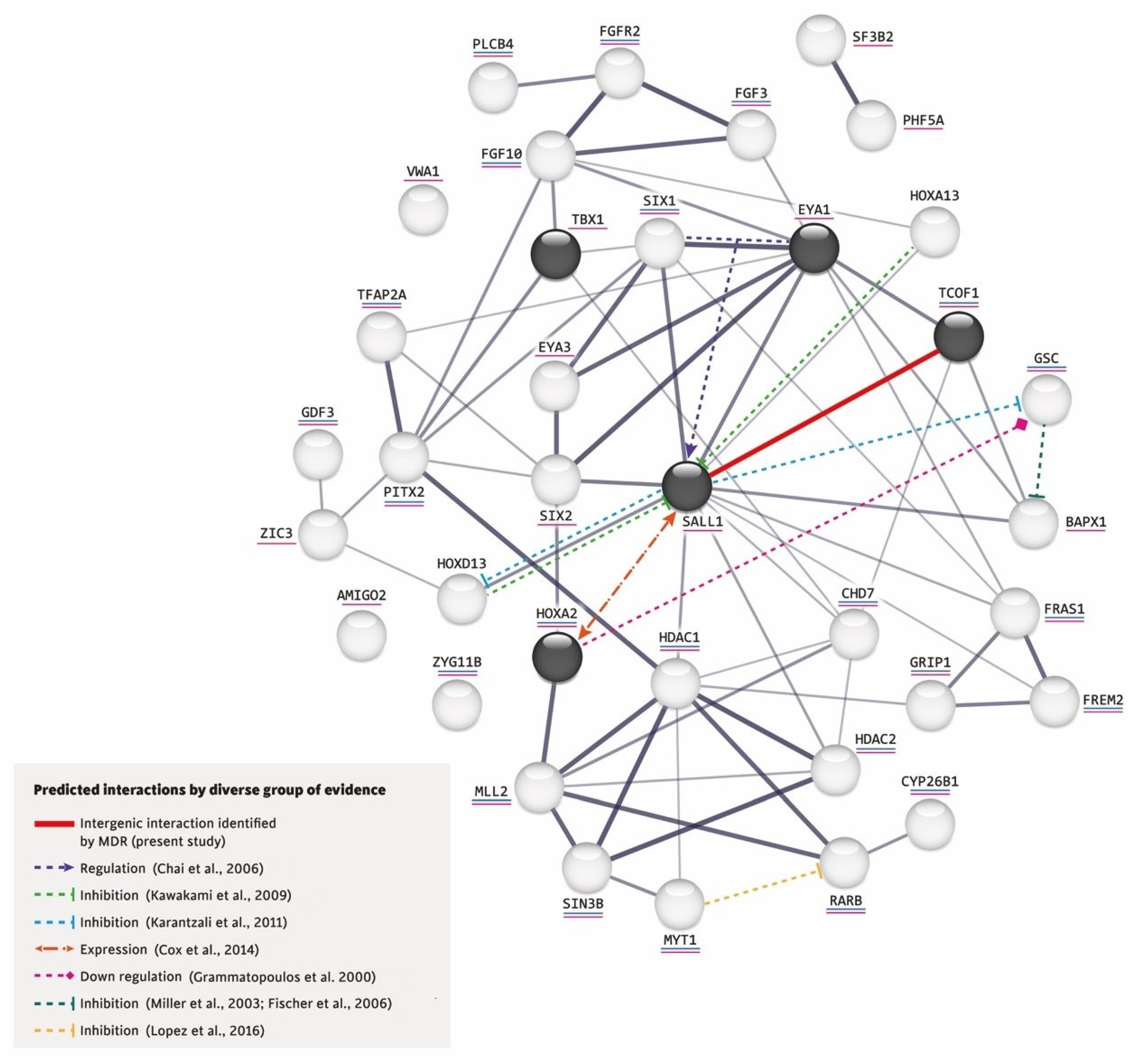 Life 12 01723 g001 Life 12 01723 g001