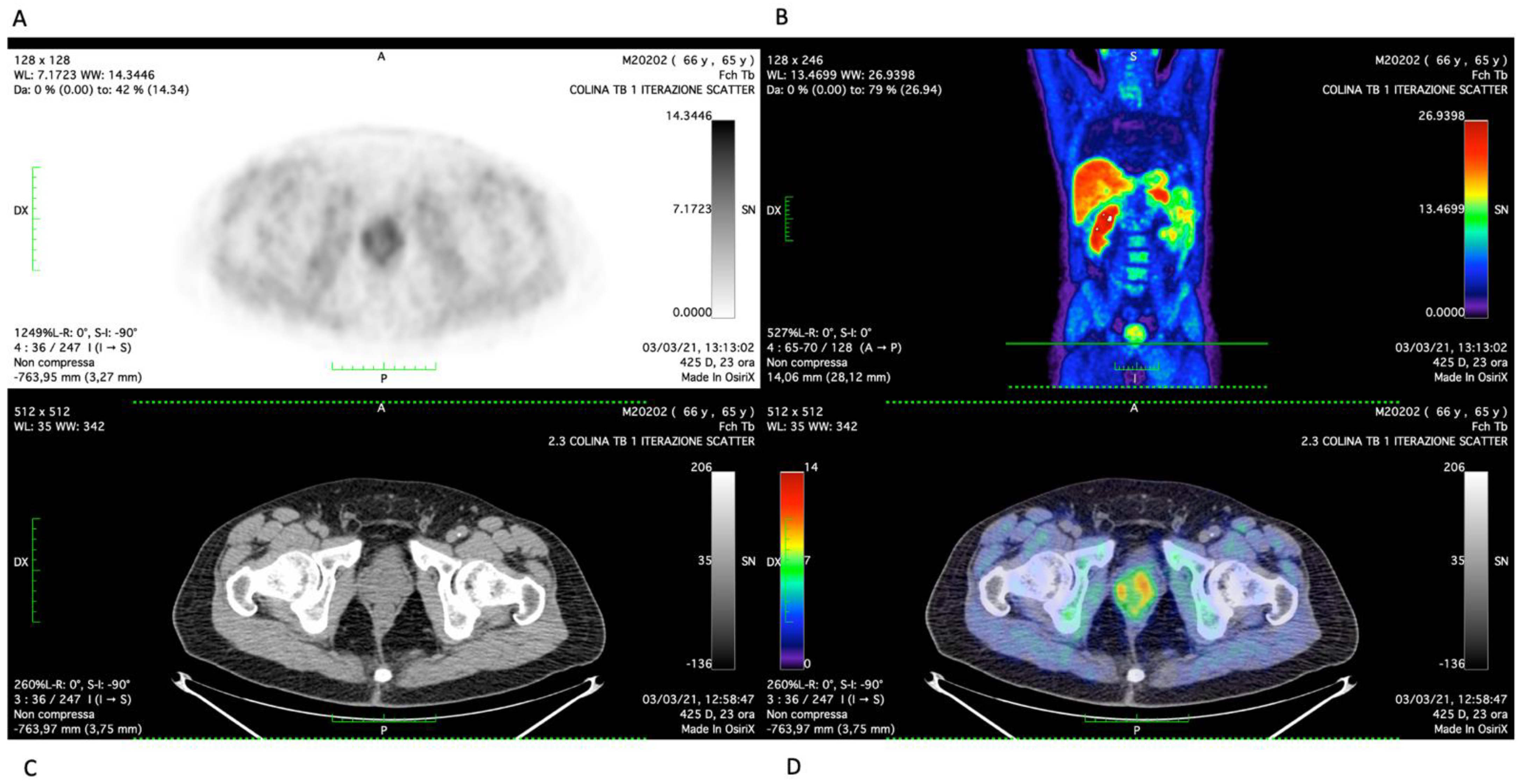 Life 12 01728 g001 Life 12 01728 g001