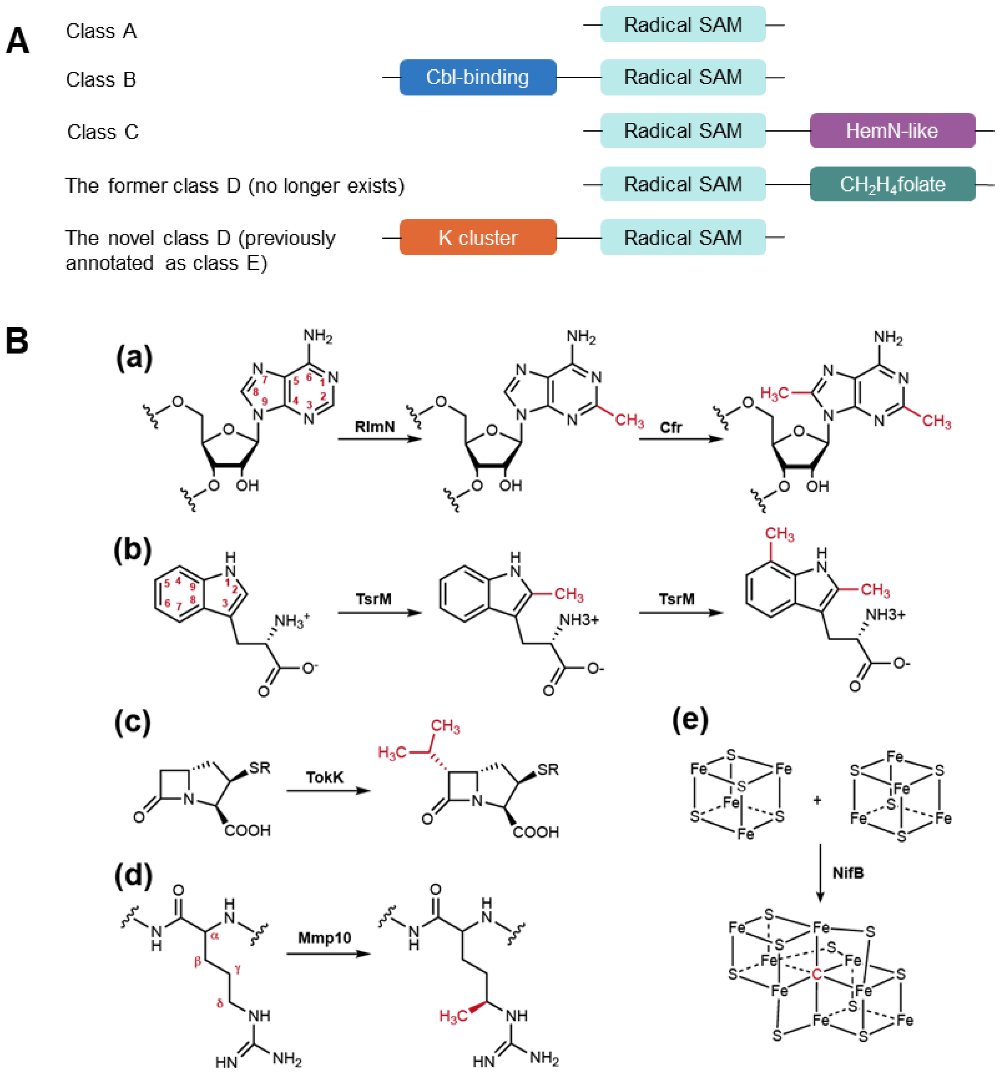 Life 12 01732 g001 Life 12 01732 g001