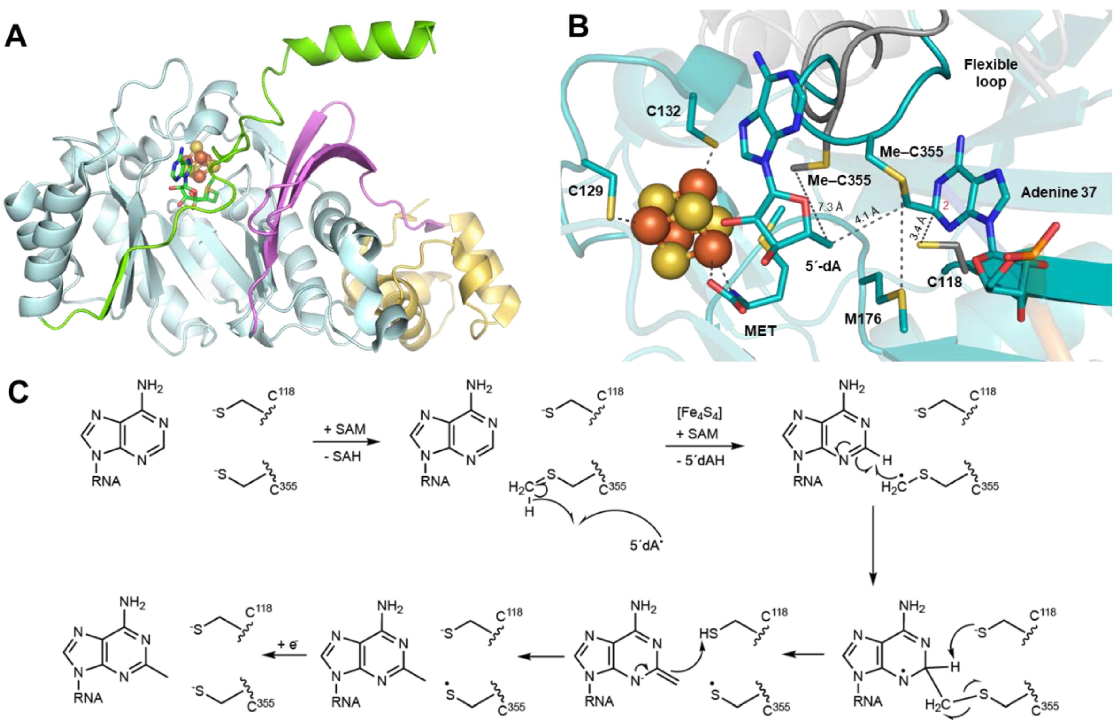 Life 12 01732 g002 Life 12 01732 g002