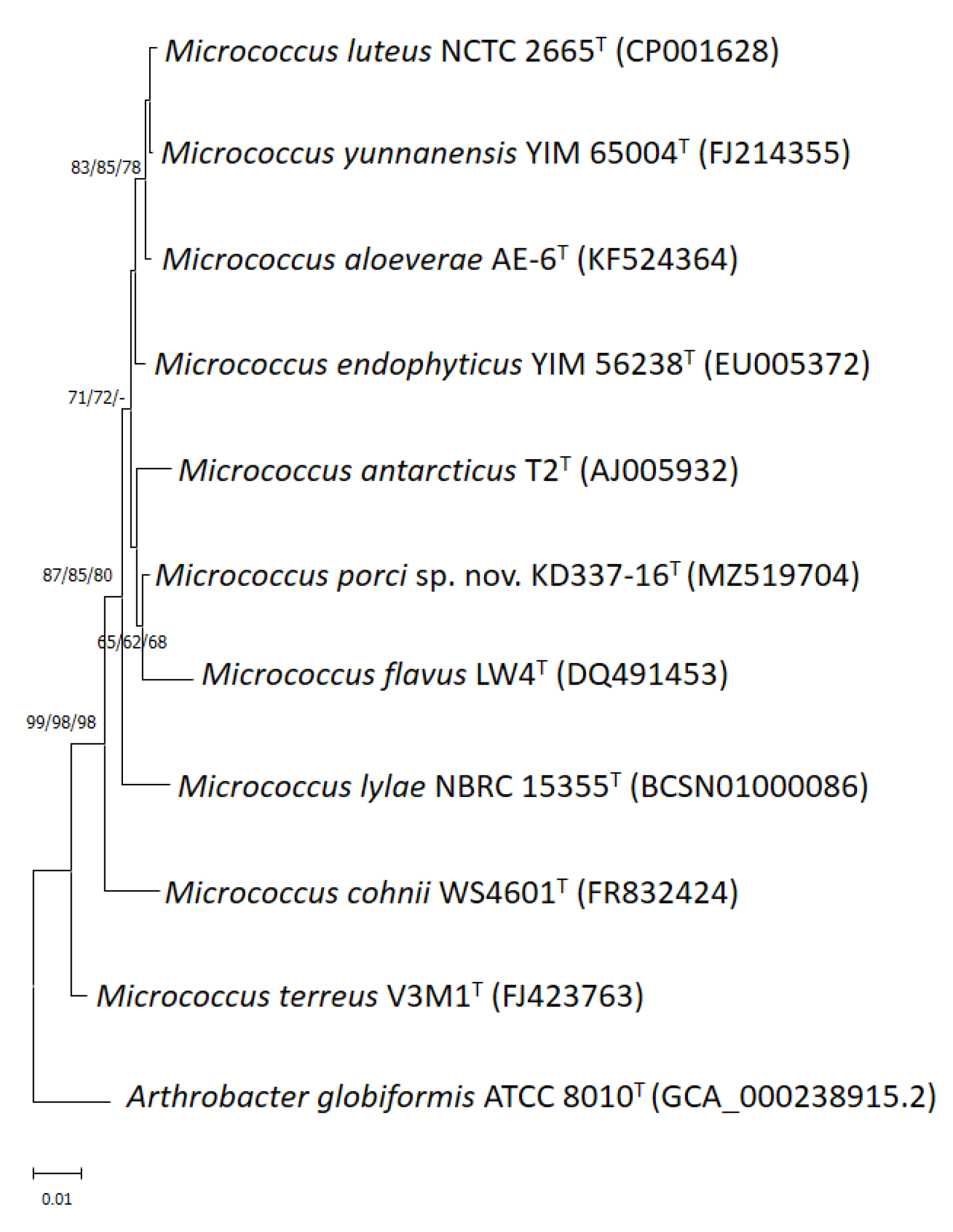 Life 12 01749 g001 Life 12 01749 g001
