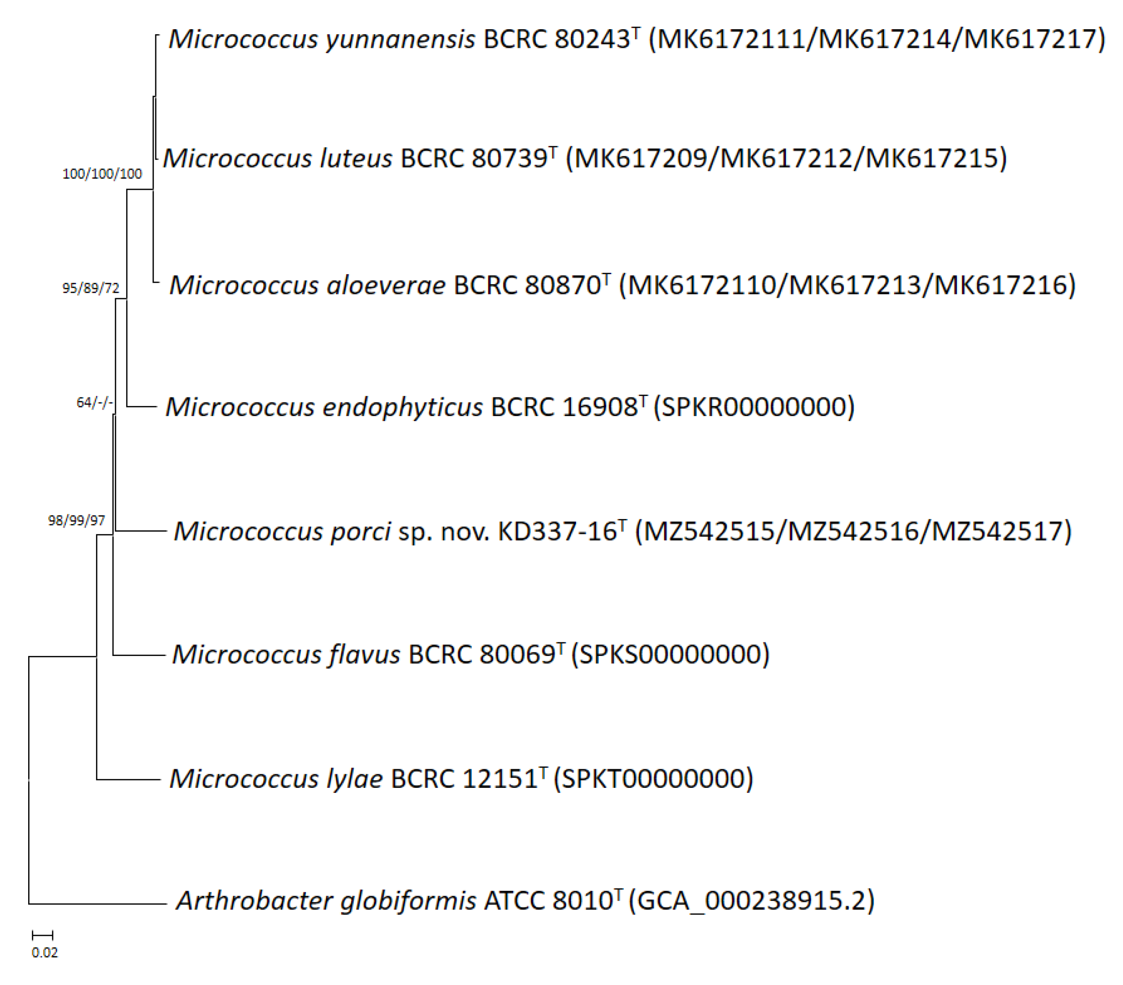 Life 12 01749 g002 Life 12 01749 g002