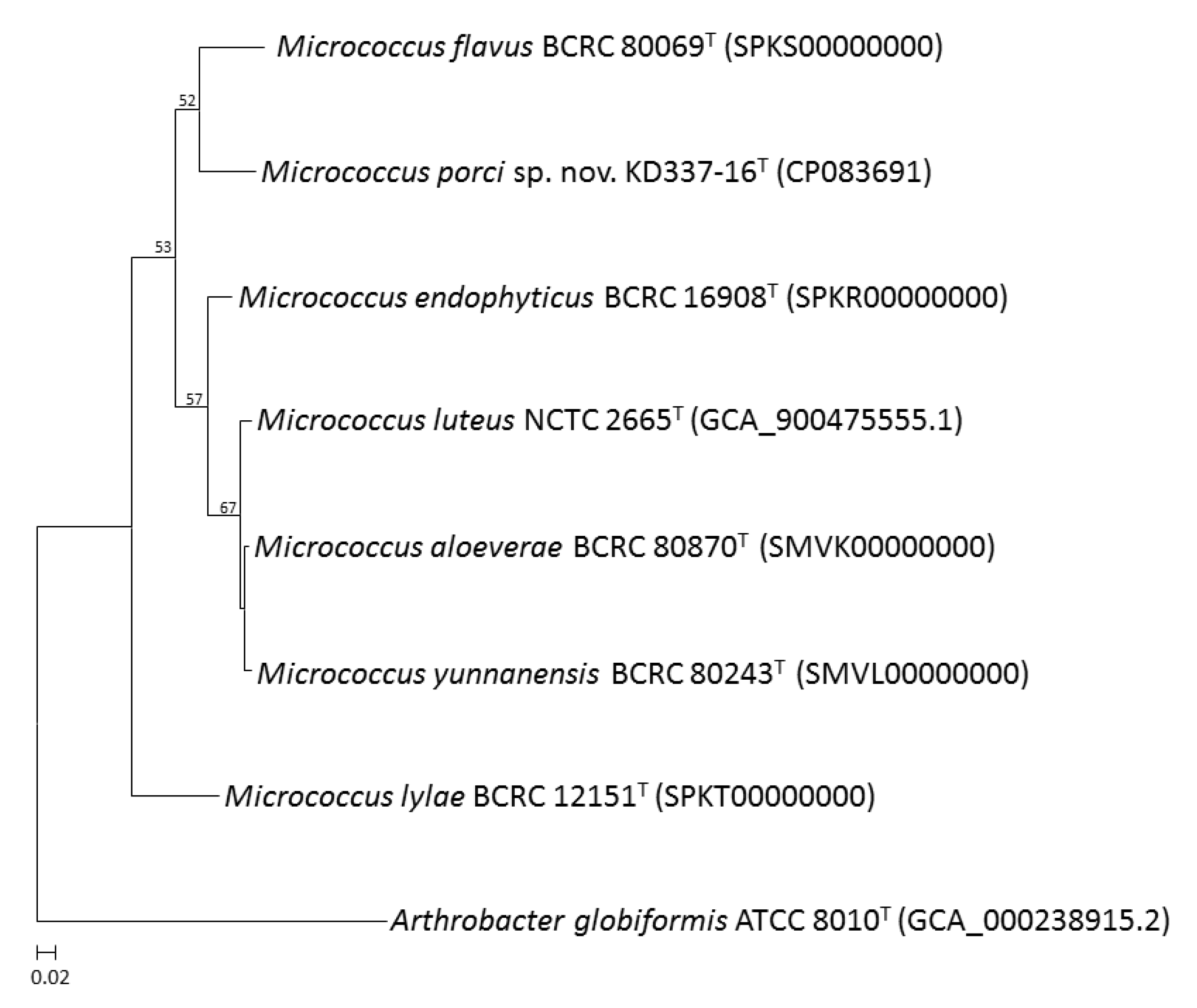 Life 12 01749 g003 Life 12 01749 g003