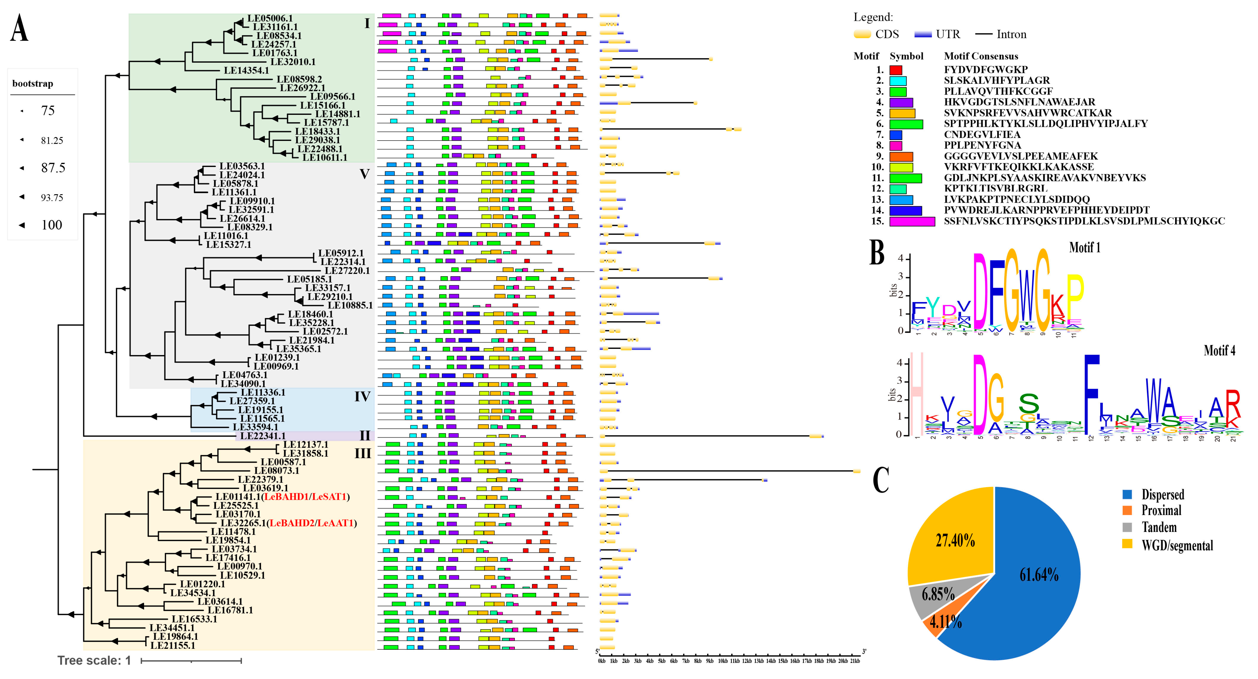 Life 12 01775 g001 Life 12 01775 g001