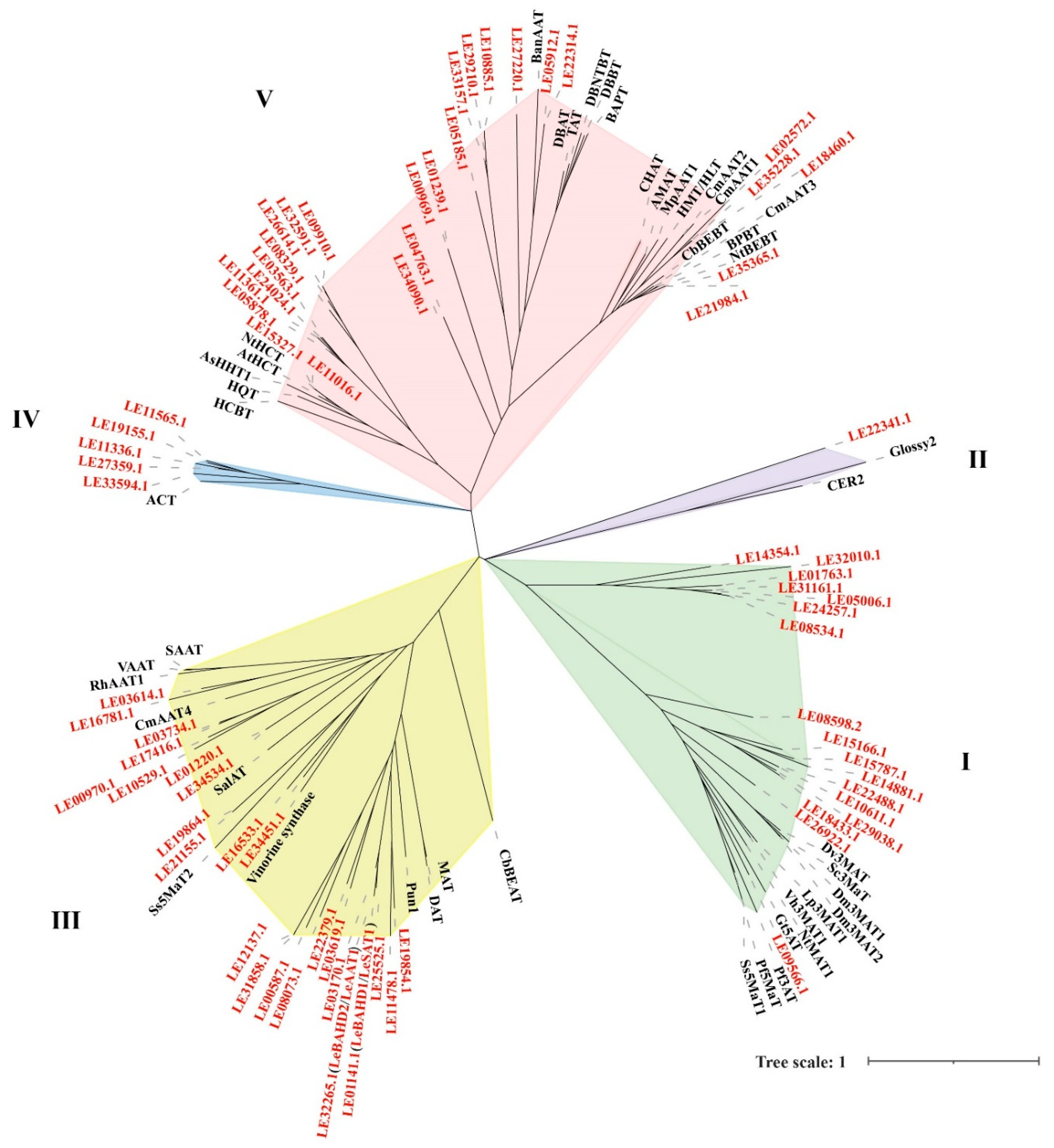 Life 12 01775 g002 Life 12 01775 g002