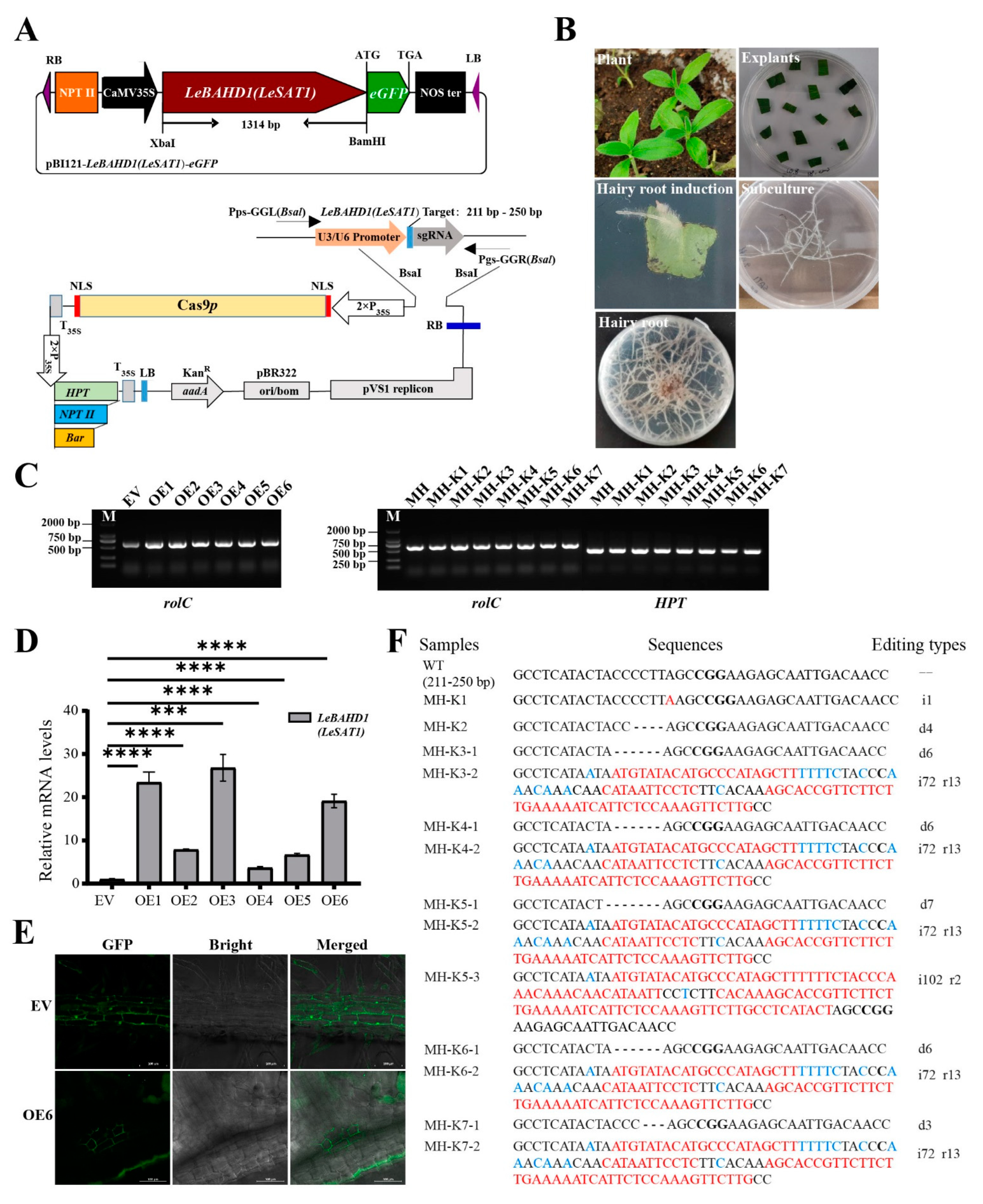 Life 12 01775 g005 Life 12 01775 g005