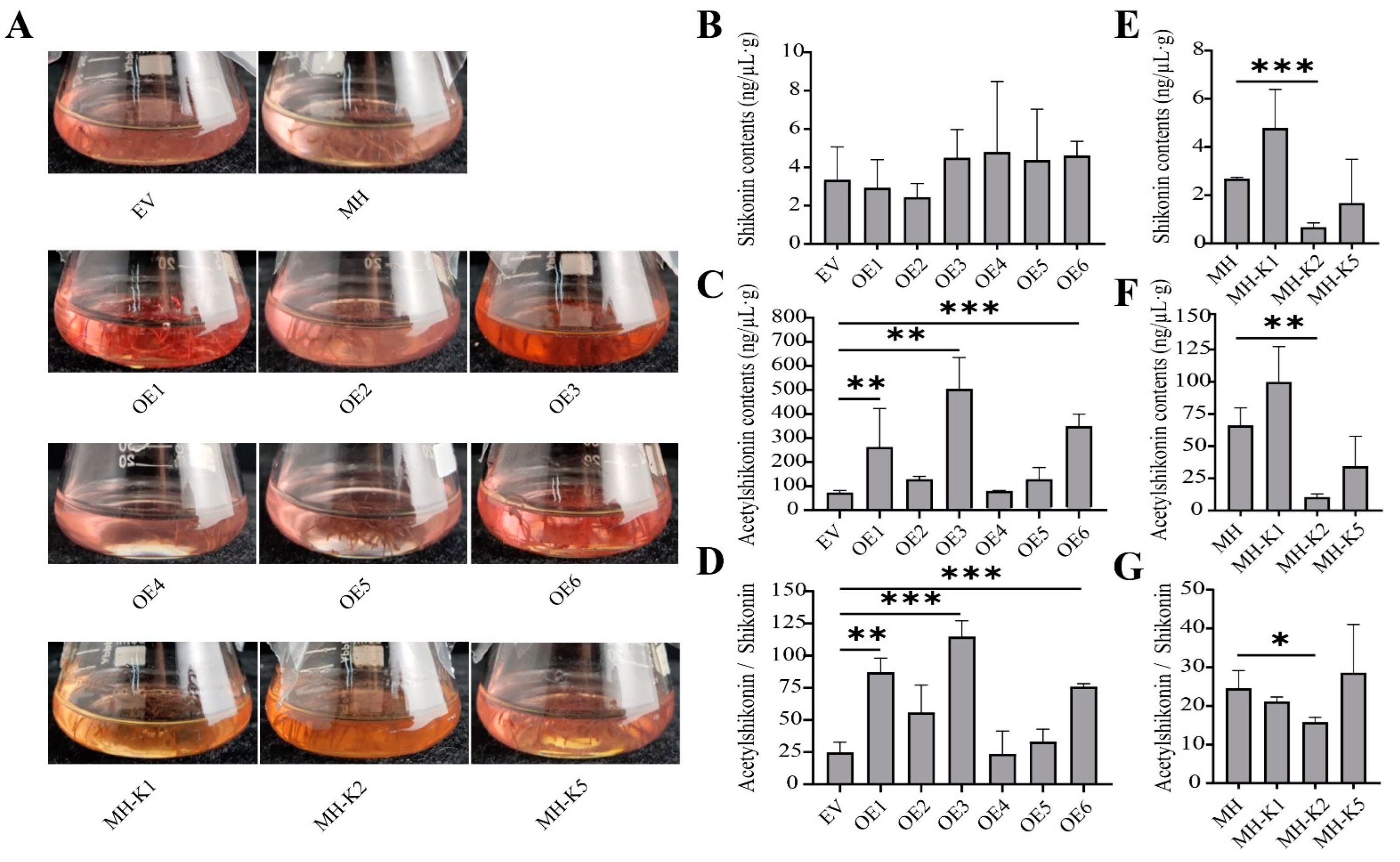 Life 12 01775 g006 Life 12 01775 g006