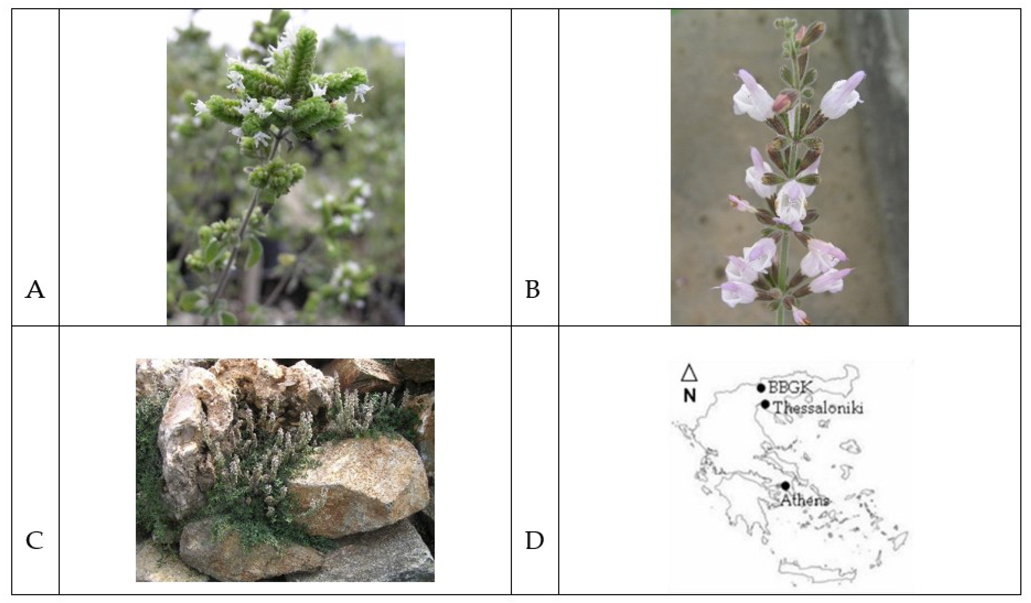 Life 12 01783 g001 Life 12 01783 g001