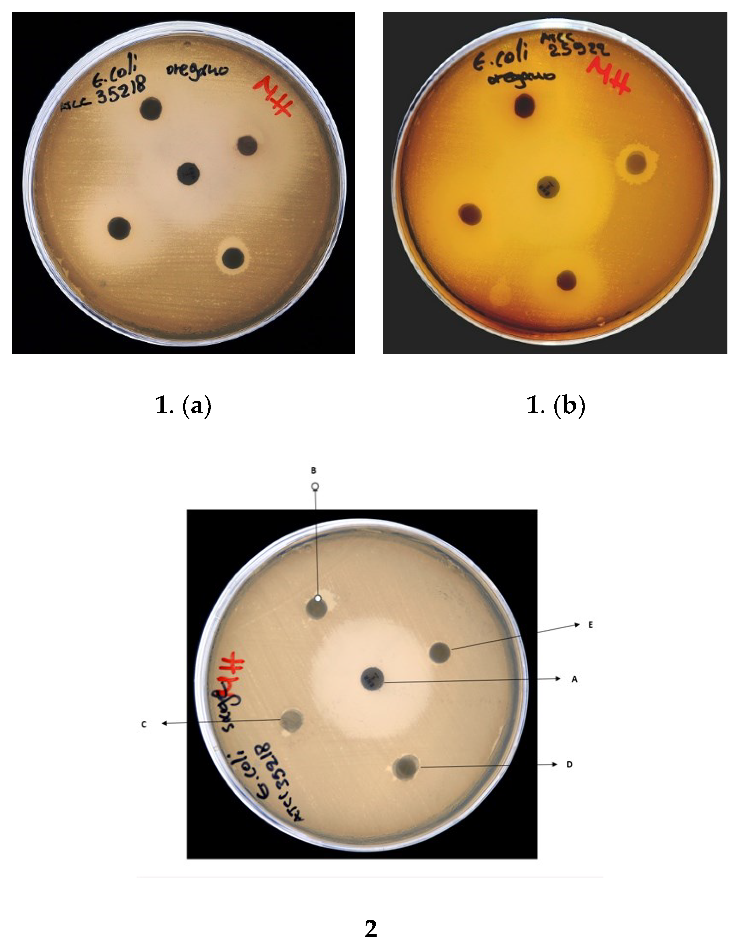 Life 12 01783 g006 Life 12 01783 g006