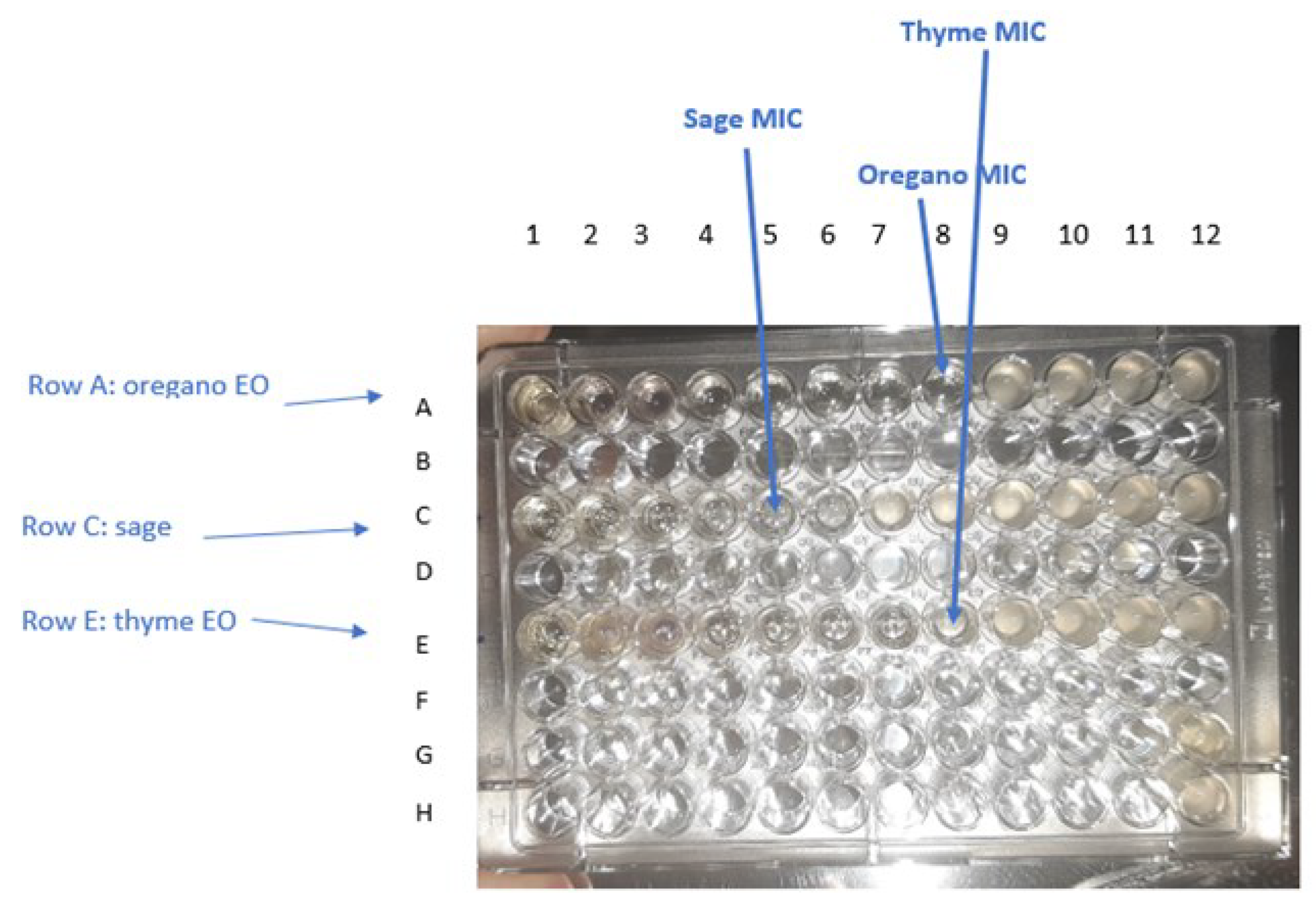 Life 12 01783 g007 Life 12 01783 g007