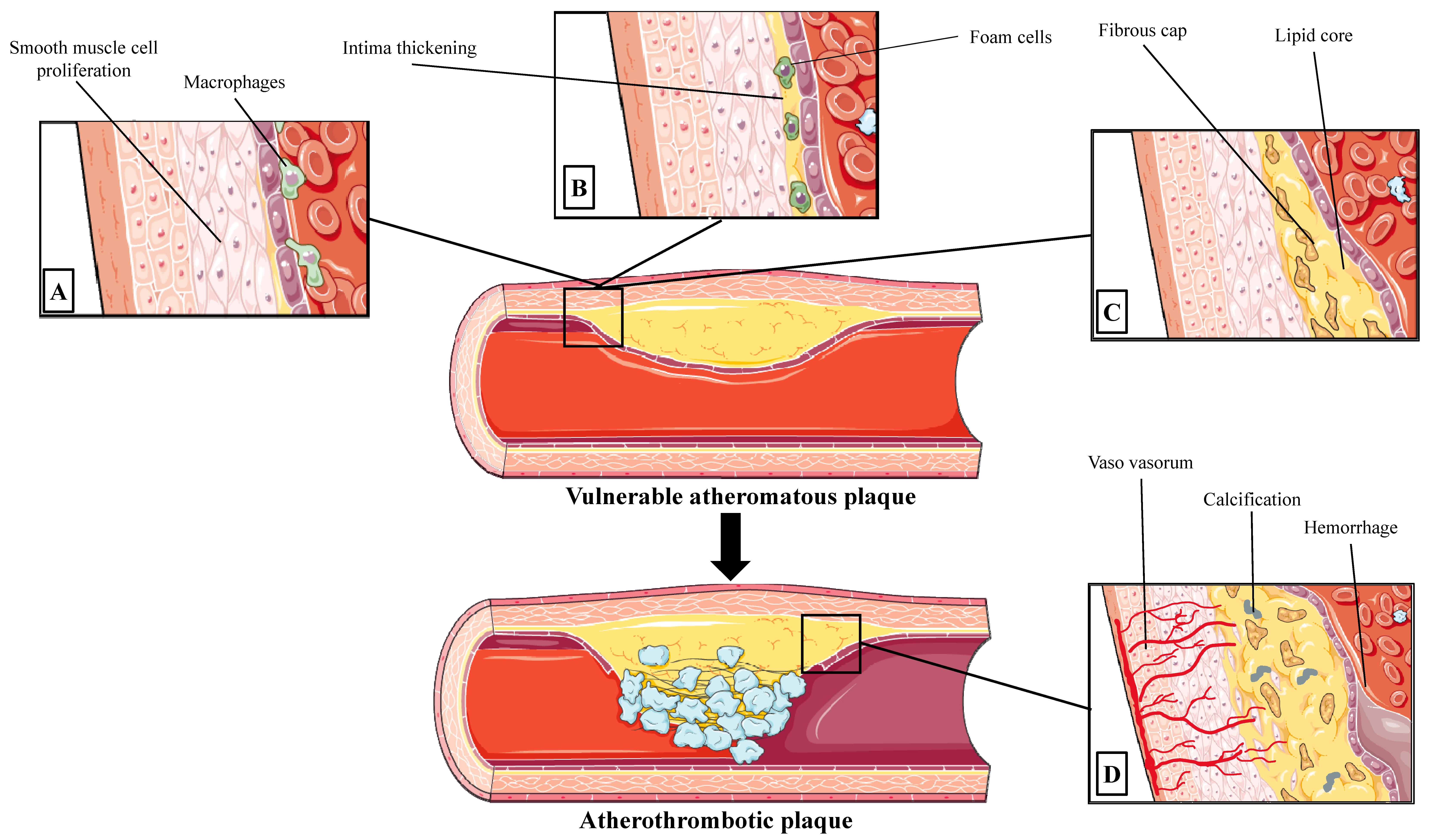 Life 12 01803 g001 Life 12 01803 g001