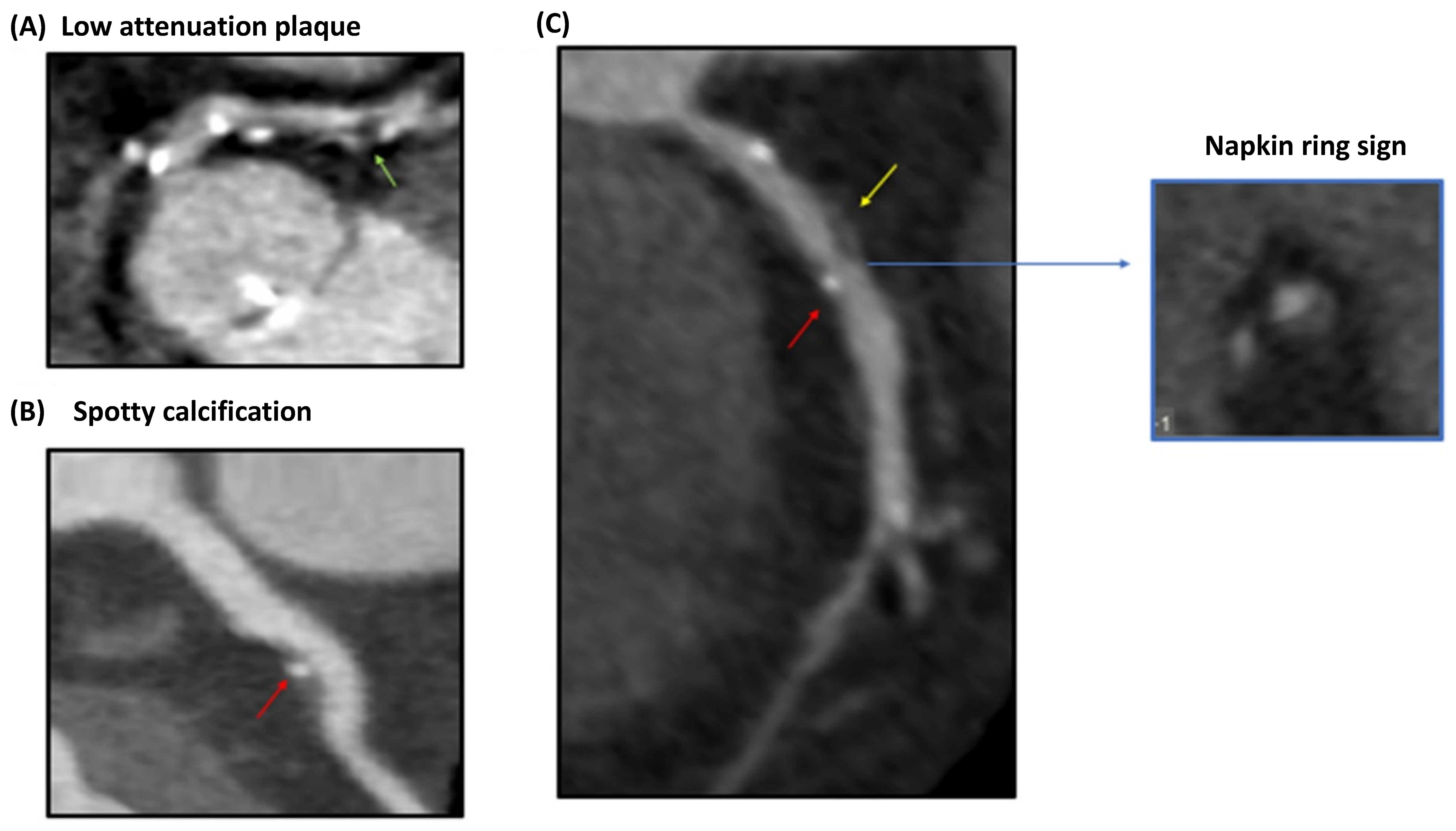 Life 12 01803 g002 Life 12 01803 g002