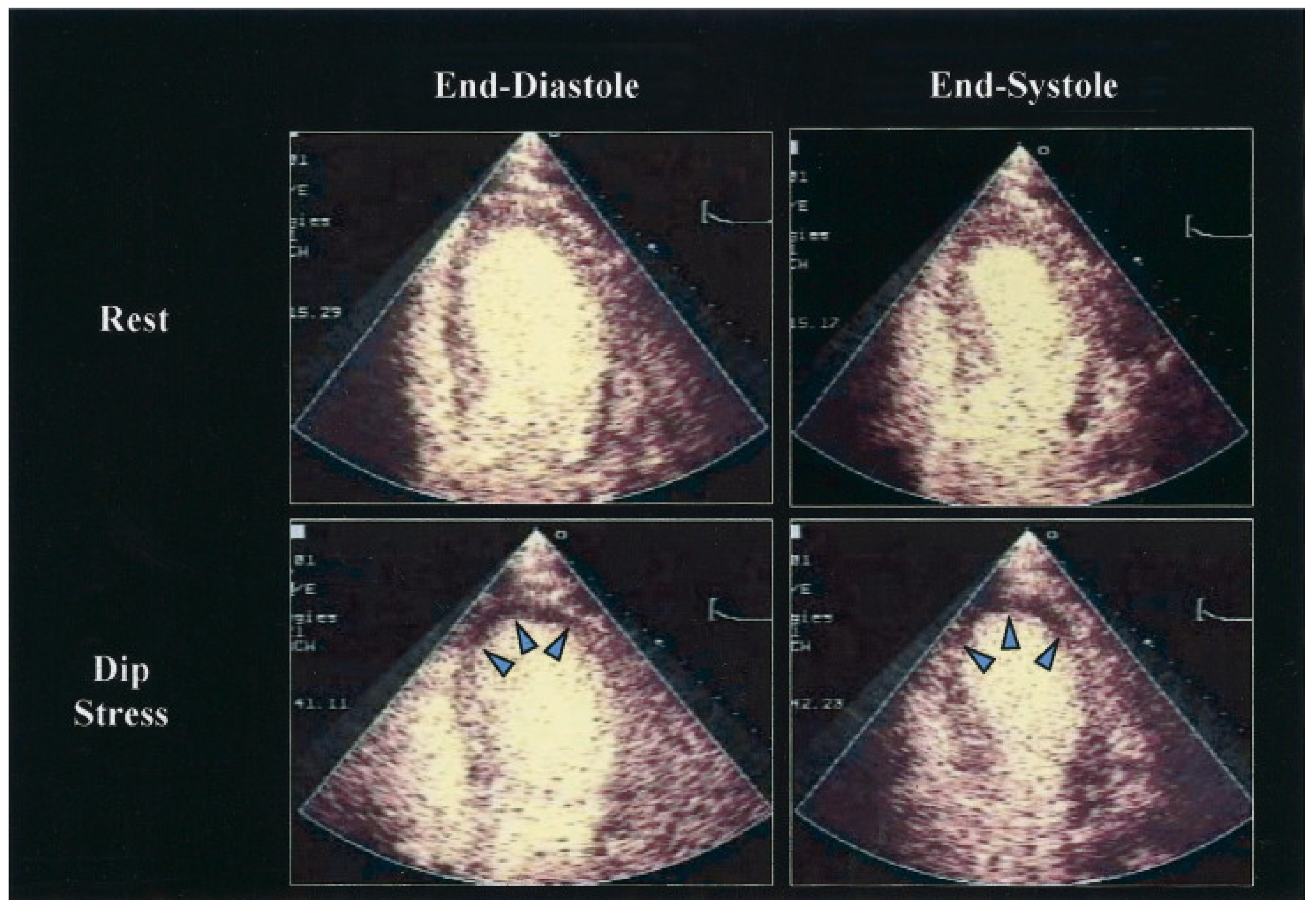 Life 12 01803 g004 Life 12 01803 g004