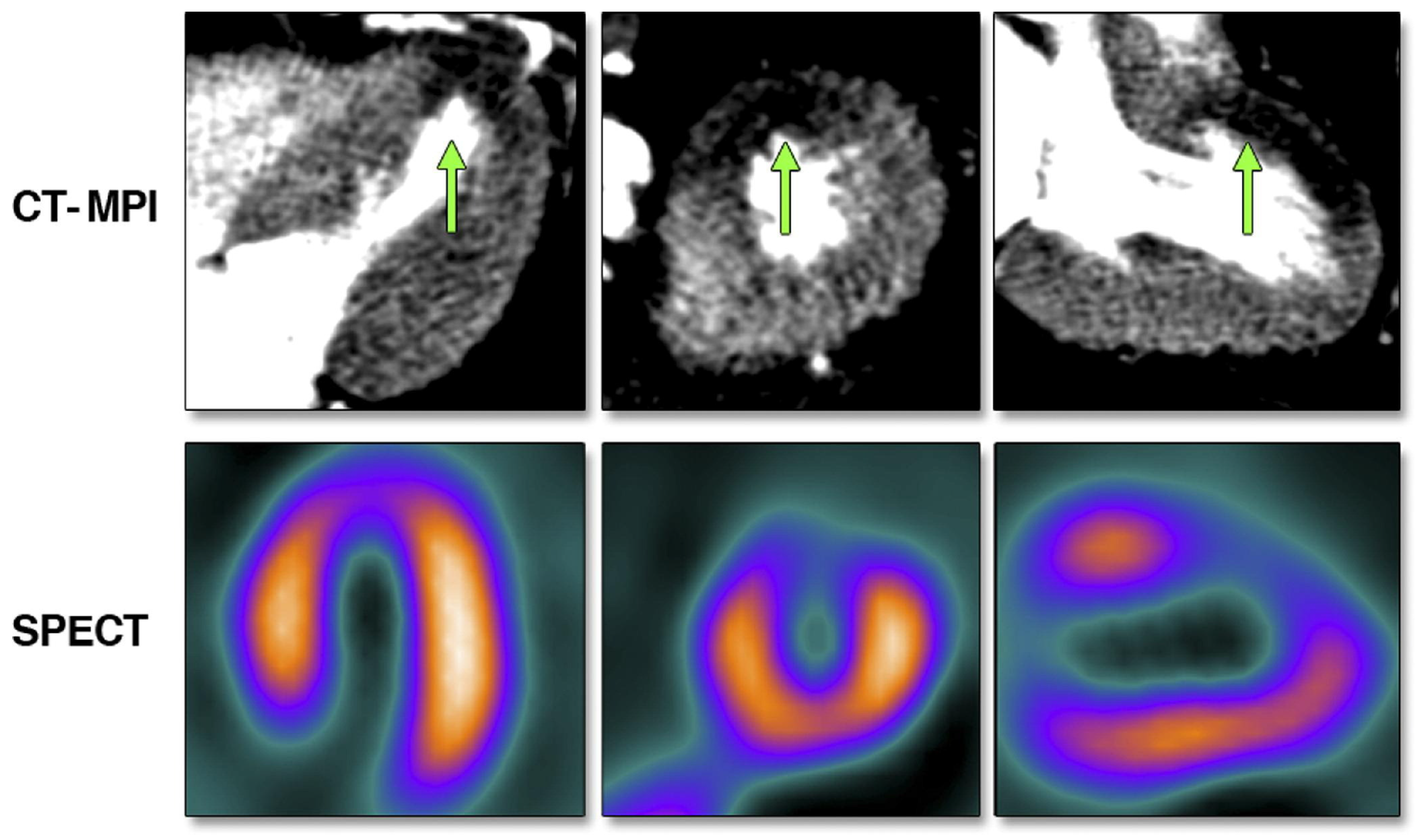 Life 12 01803 g005 Life 12 01803 g005