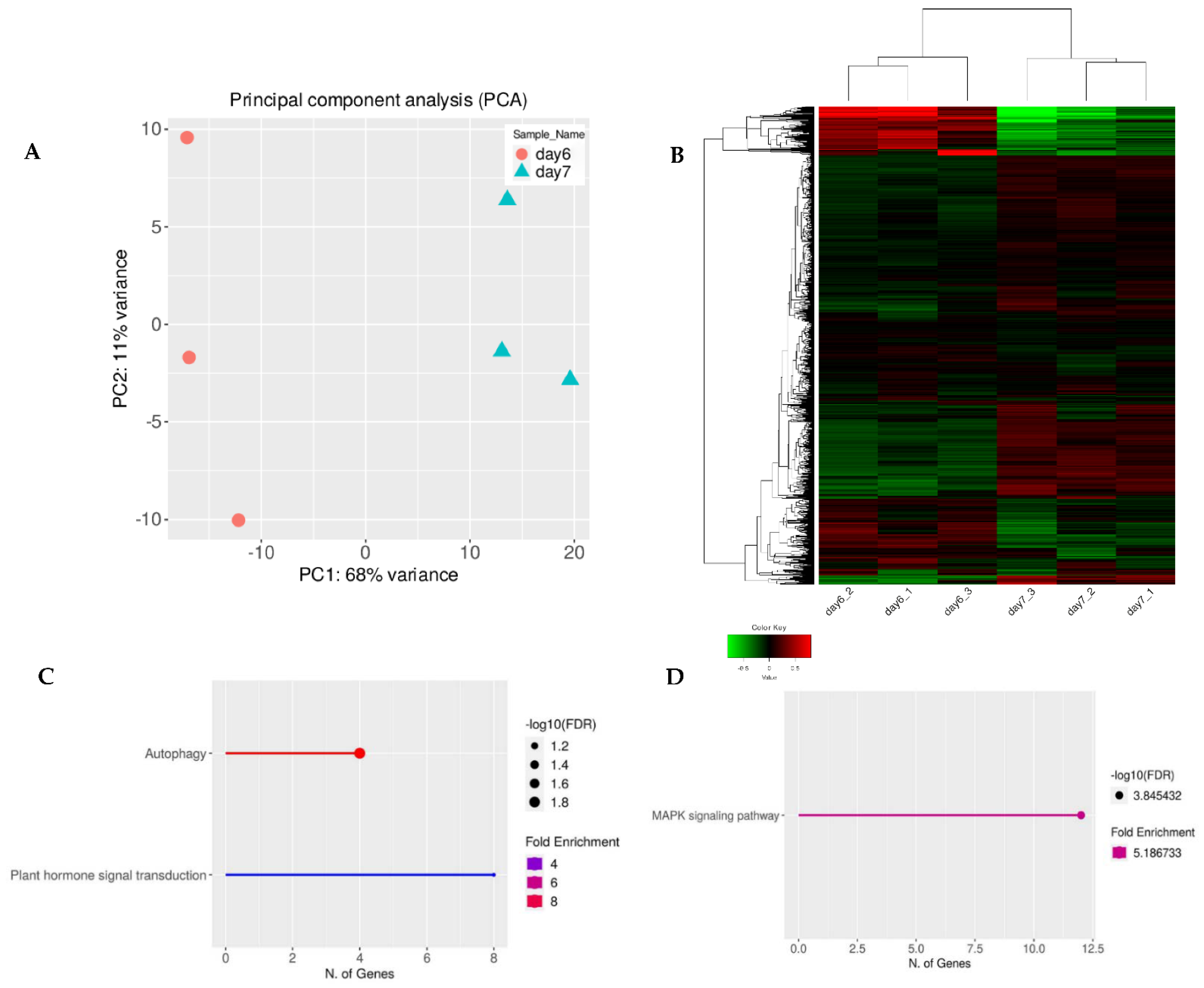 Life 12 01822 g001 Life 12 01822 g001