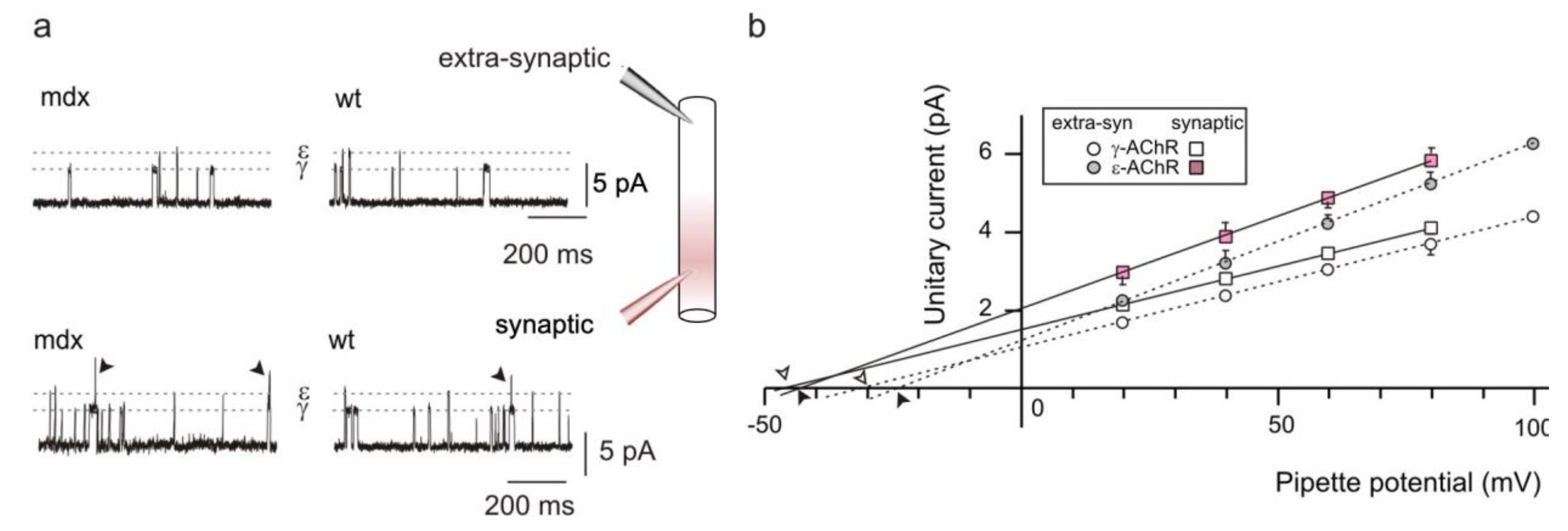 Life 12 01861 g002 Life 12 01861 g002