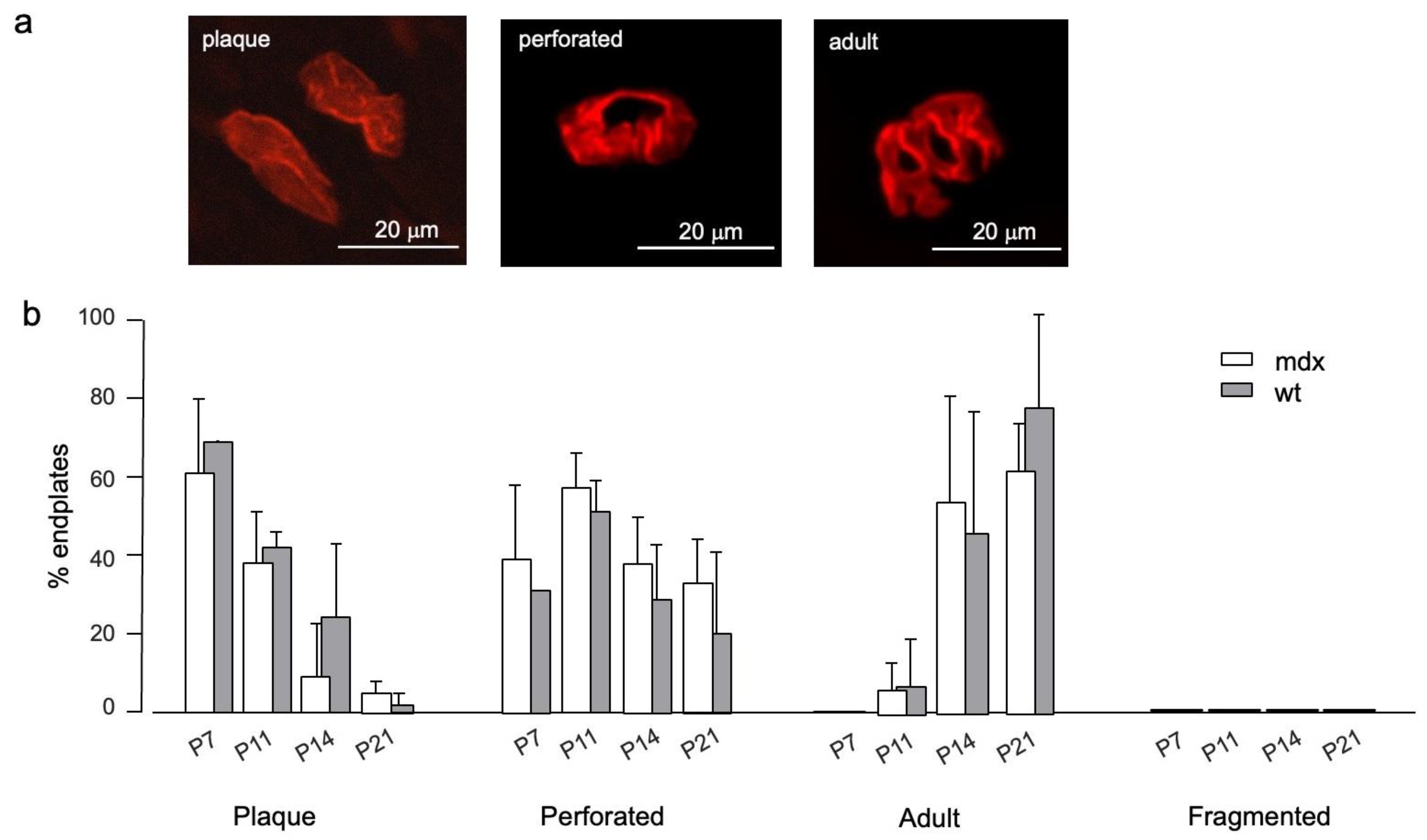 Life 12 01861 g005 Life 12 01861 g005
