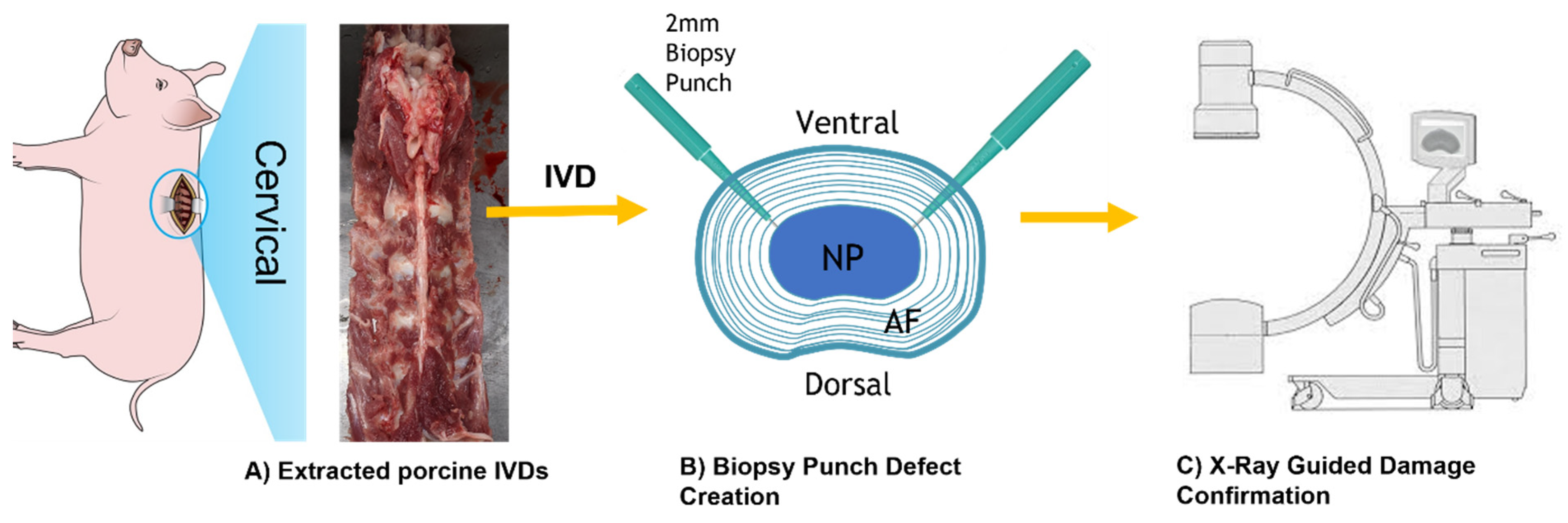 Life 12 01866 g001 Life 12 01866 g001