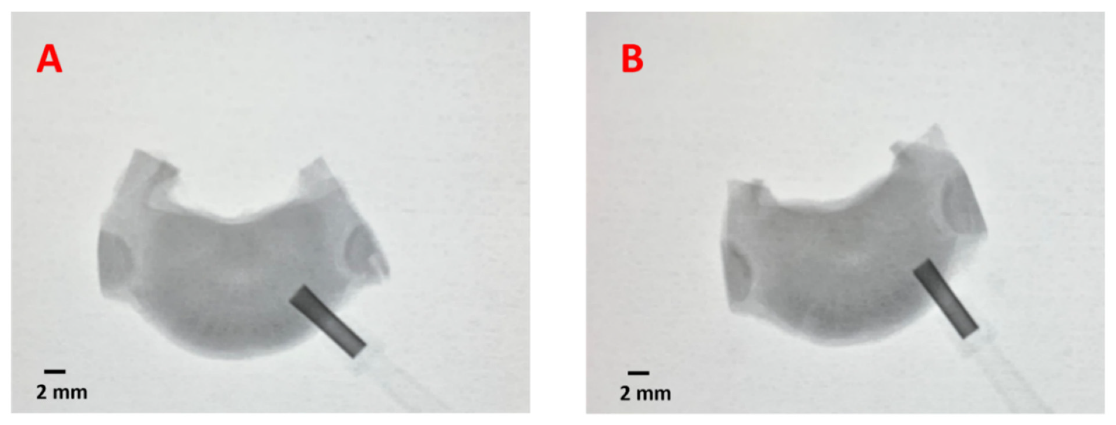 Life 12 01866 g003 Life 12 01866 g003