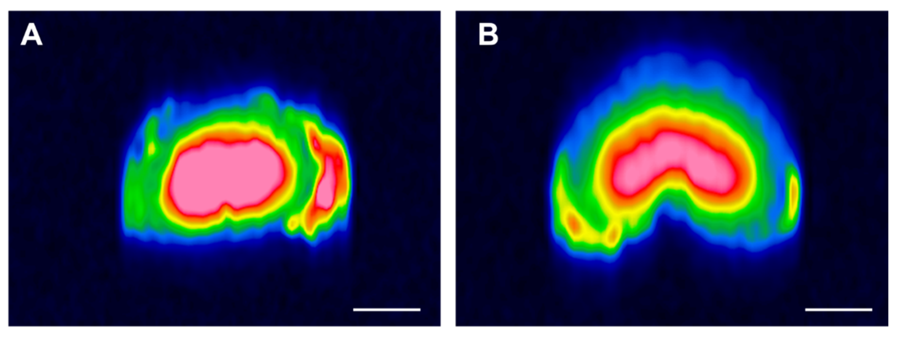 Life 12 01866 g007 Life 12 01866 g007