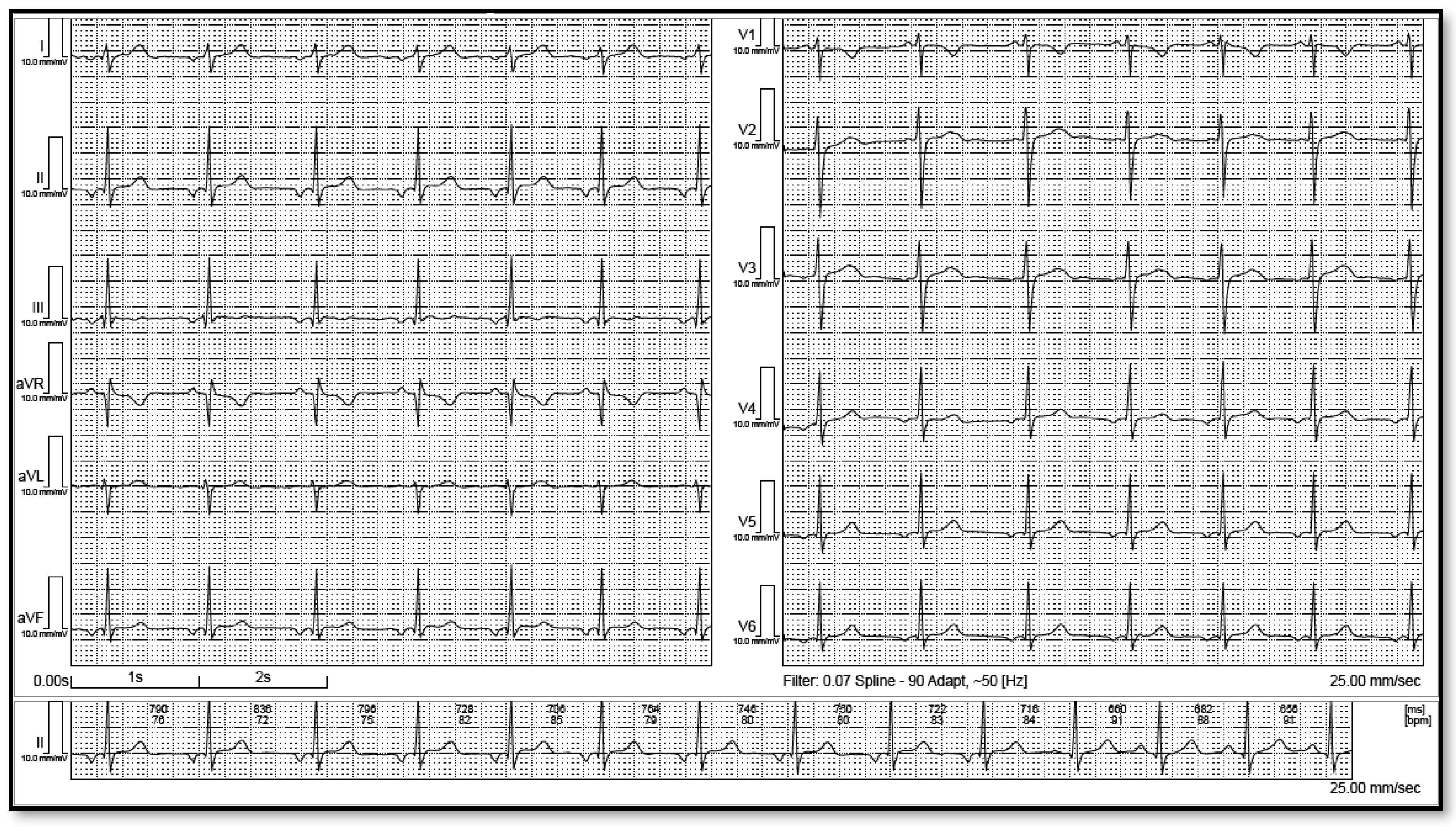 Life 12 01895 g002 Life 12 01895 g002