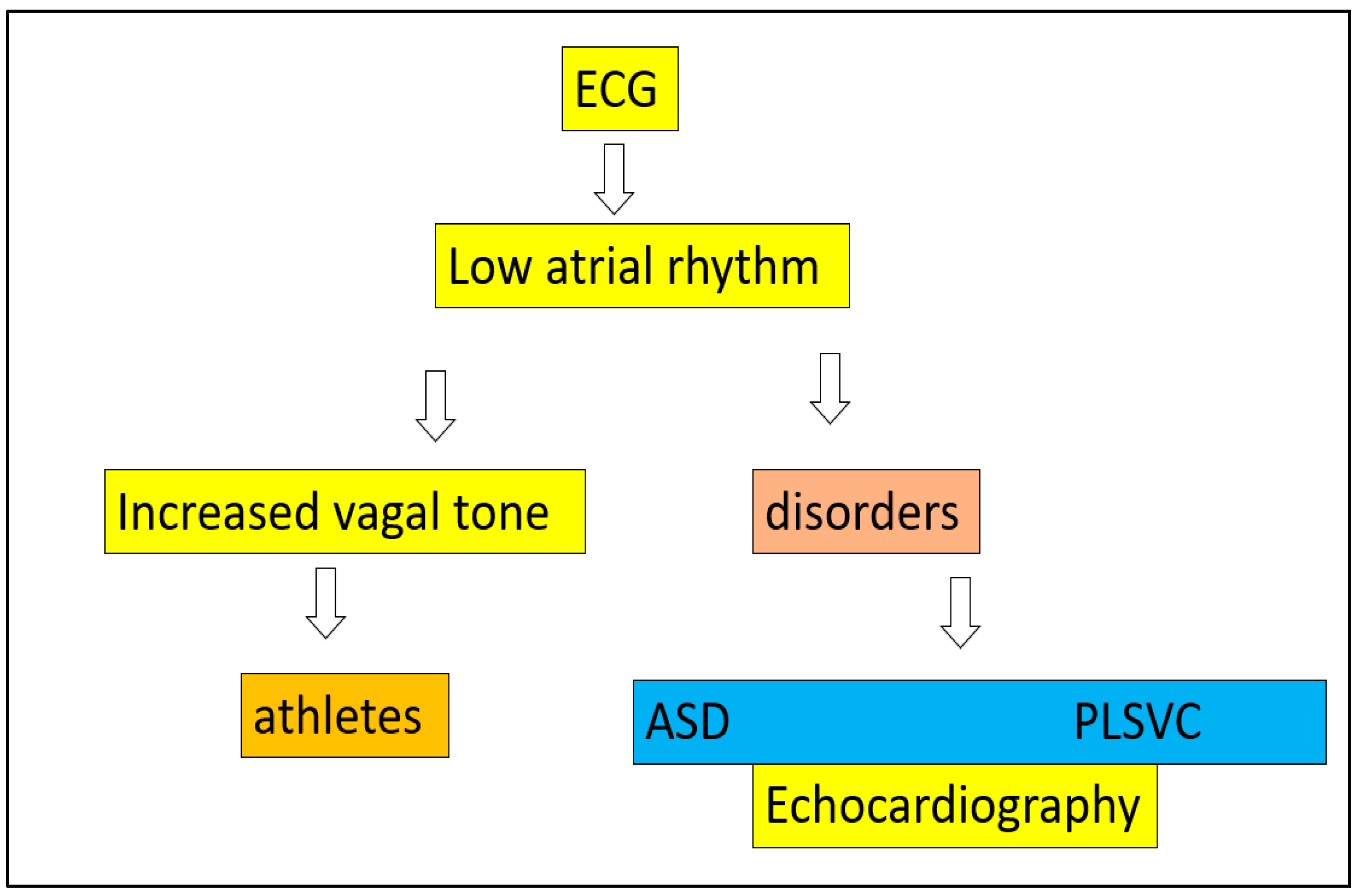 Life 12 01895 g004 Life 12 01895 g004