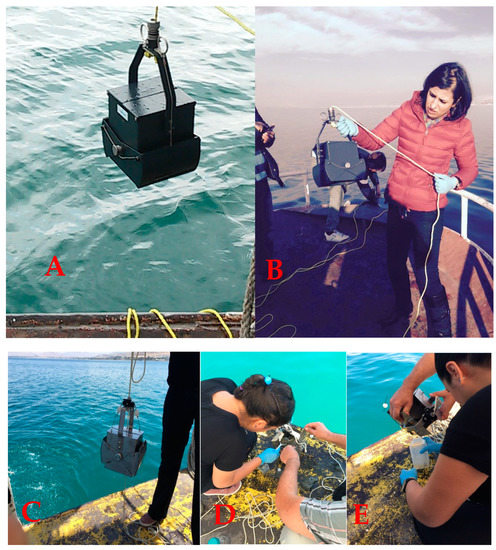 Life 12 01900 g0a1a Life 12 01900 g0a1a