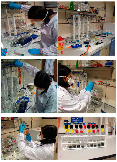 Life 12 01900 g0a2a Life 12 01900 g0a2a