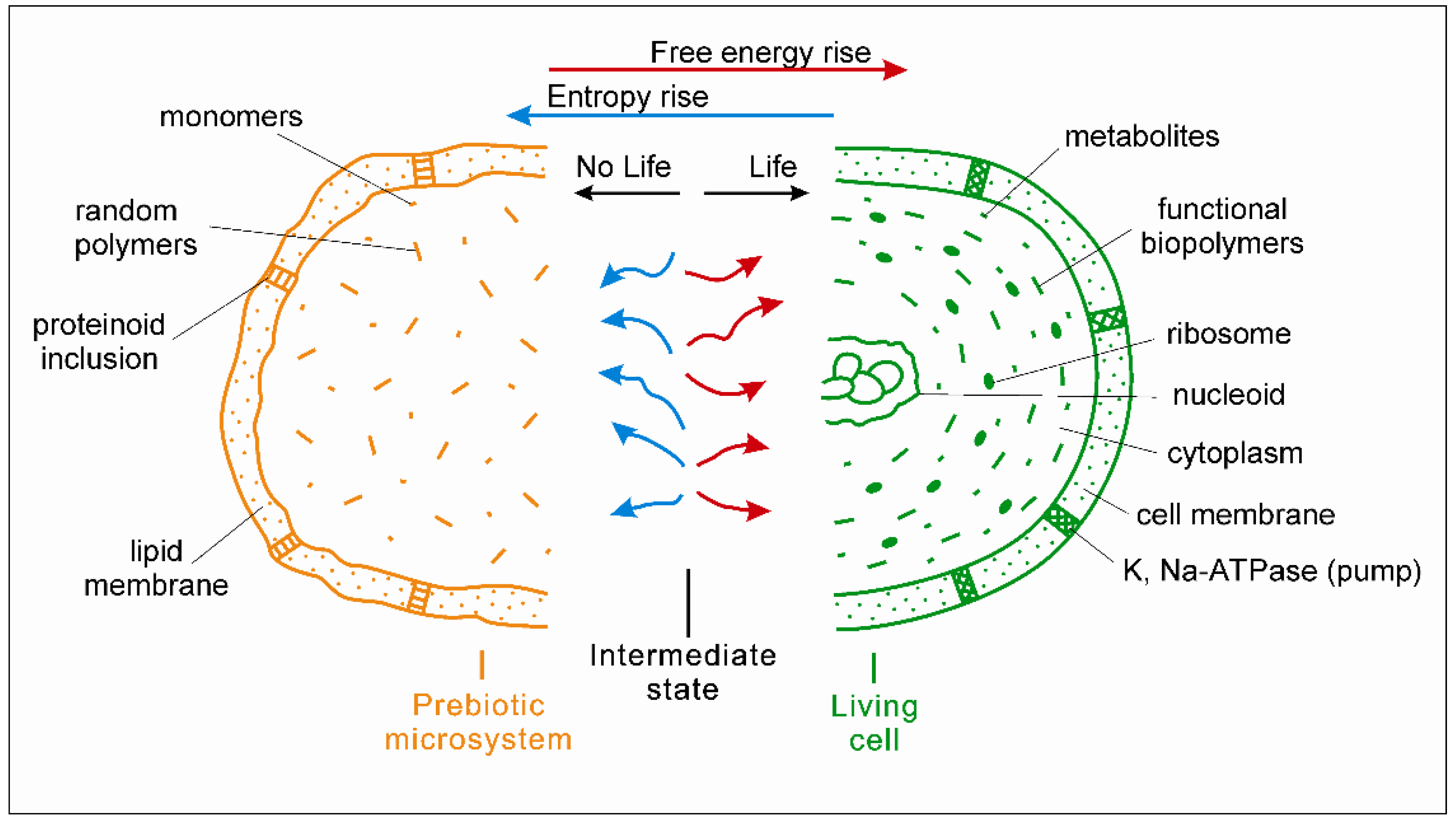 Life 12 01930 g001 Life 12 01930 g001
