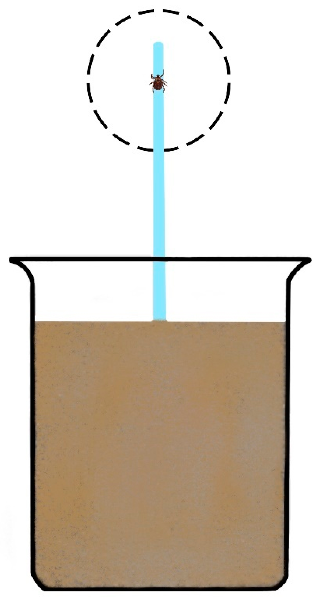 Life 12 02086 g001 Life 12 02086 g001