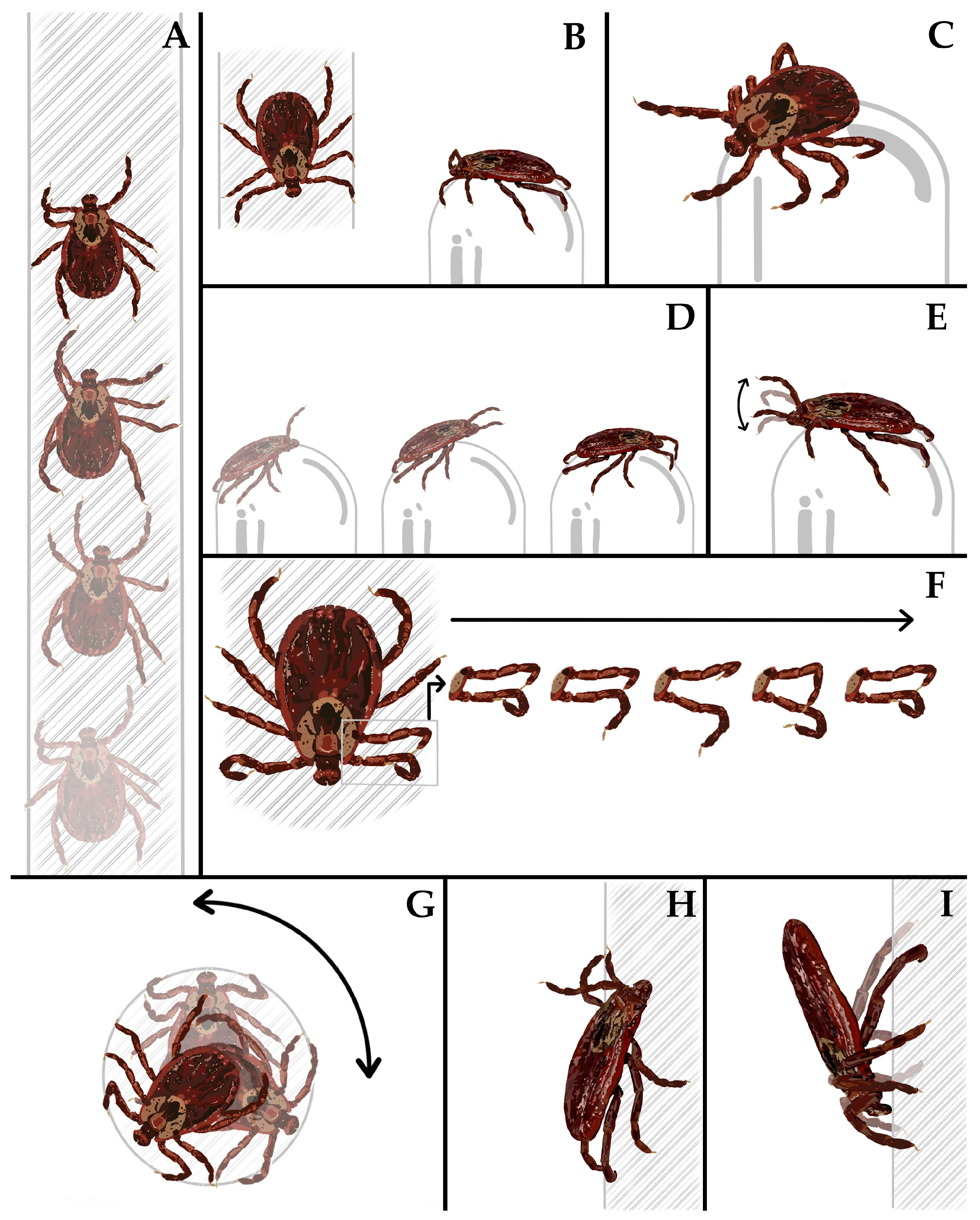 Life 12 02086 g002 Life 12 02086 g002