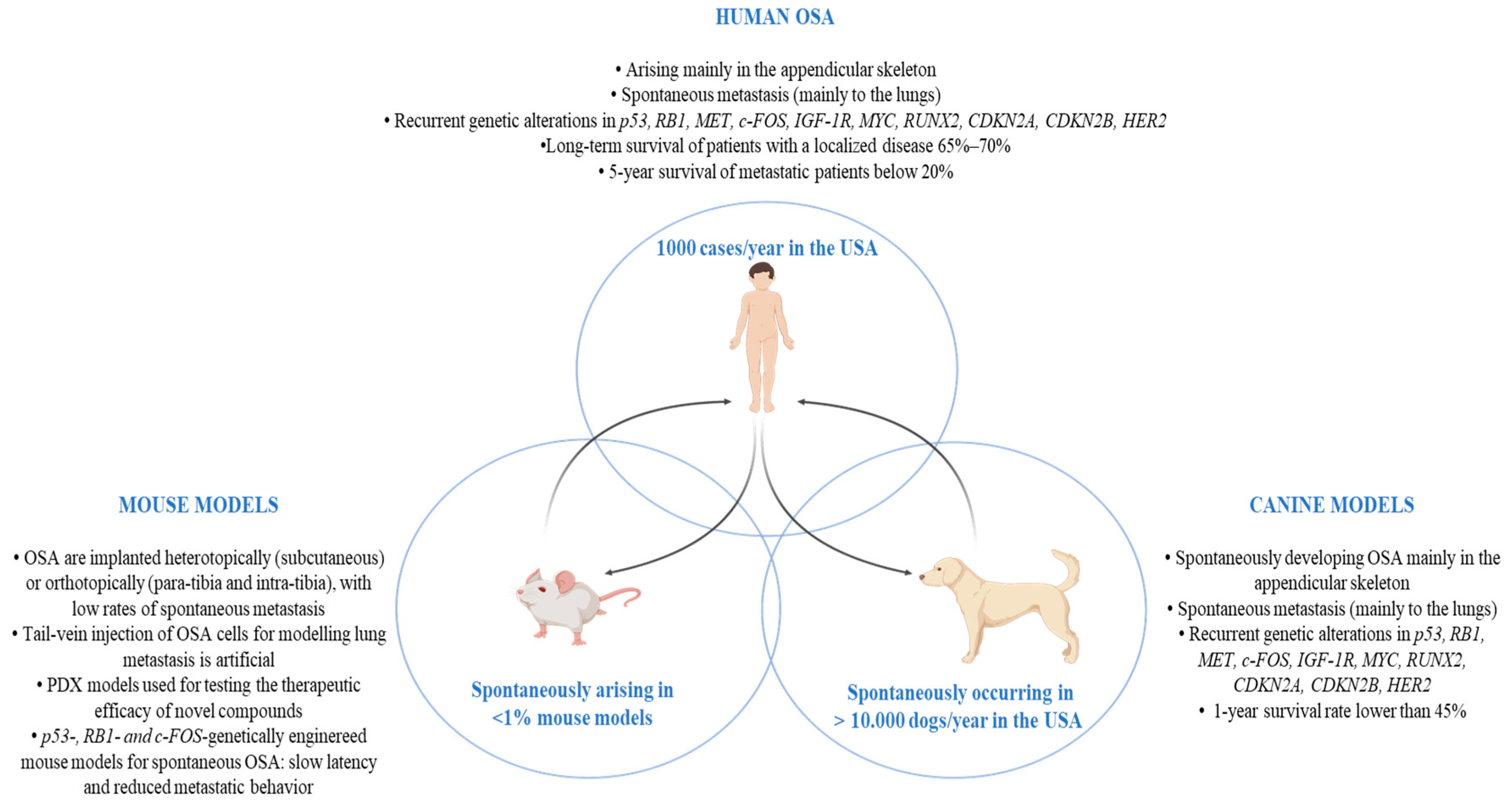 Life 12 02099 g002 Life 12 02099 g002