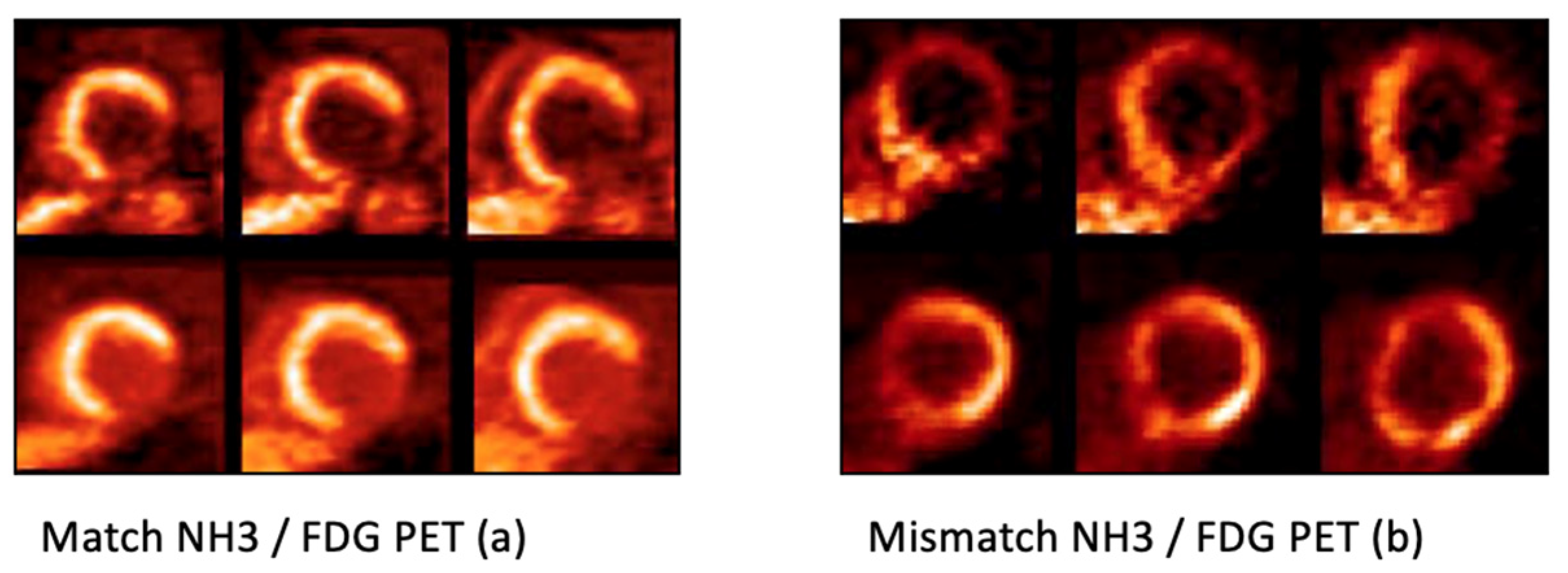 Life 13 00004 g003 Life 13 00004 g003