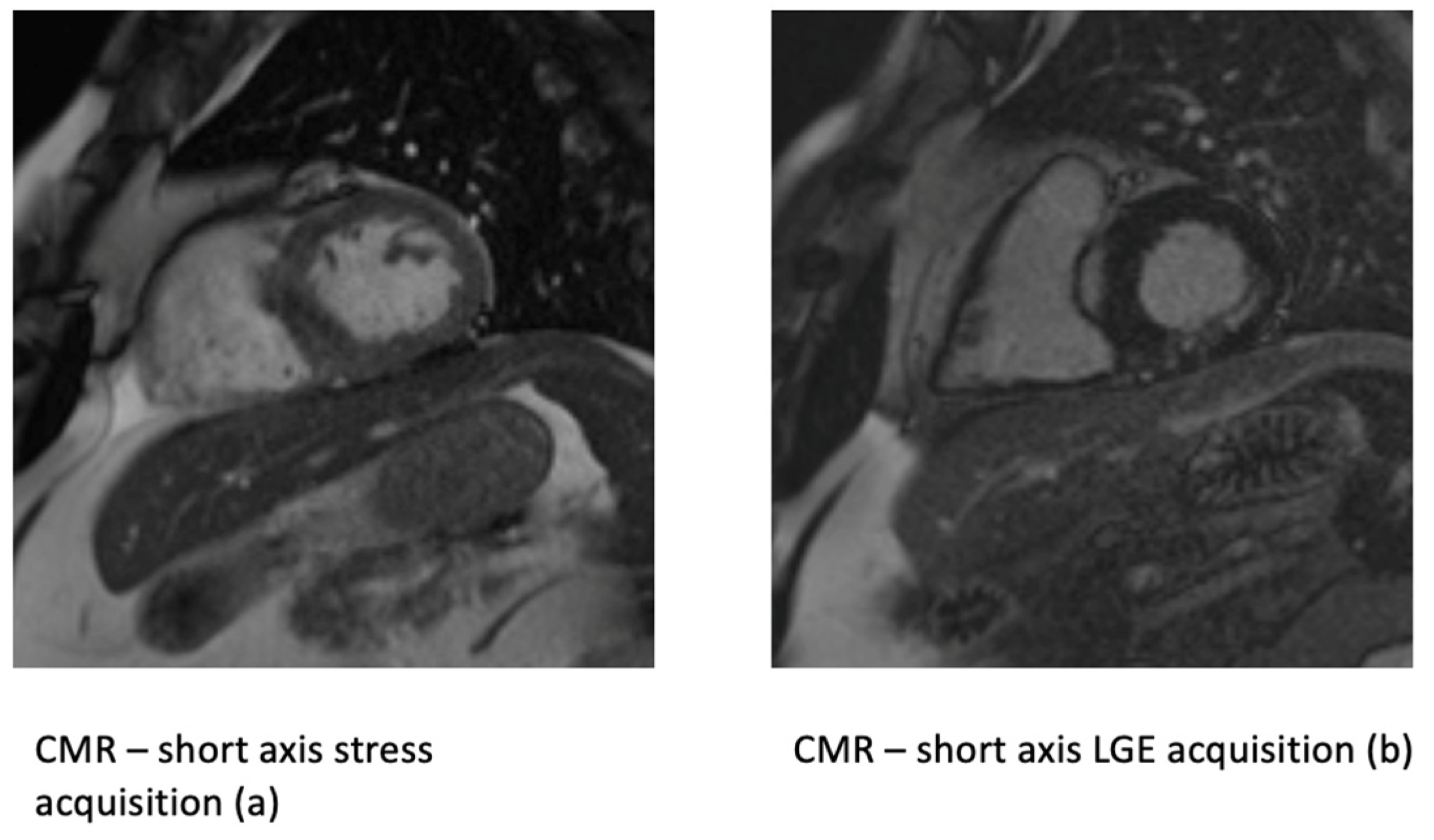 Life 13 00004 g004 Life 13 00004 g004