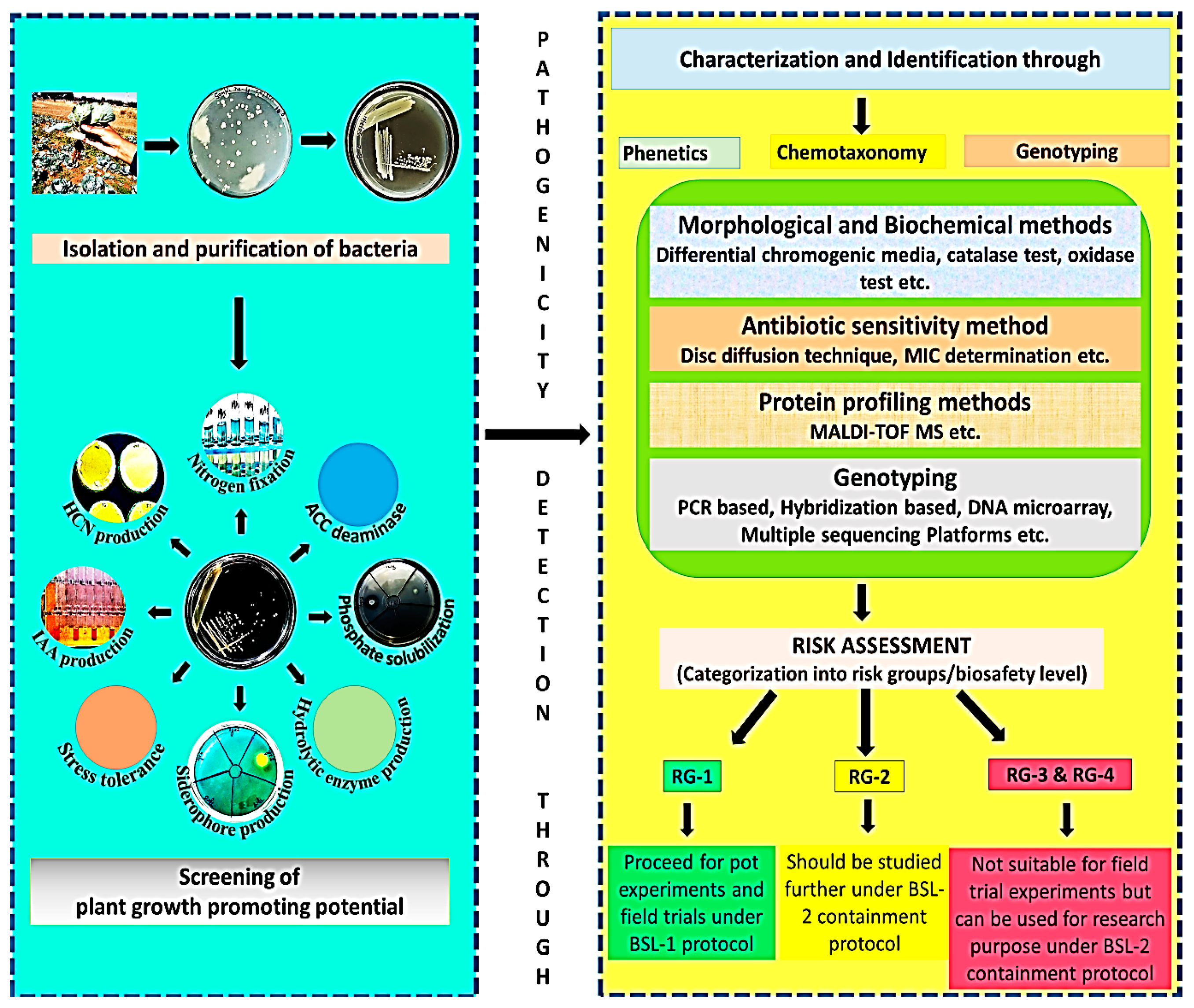 Life 13 00012 g002 Life 13 00012 g002