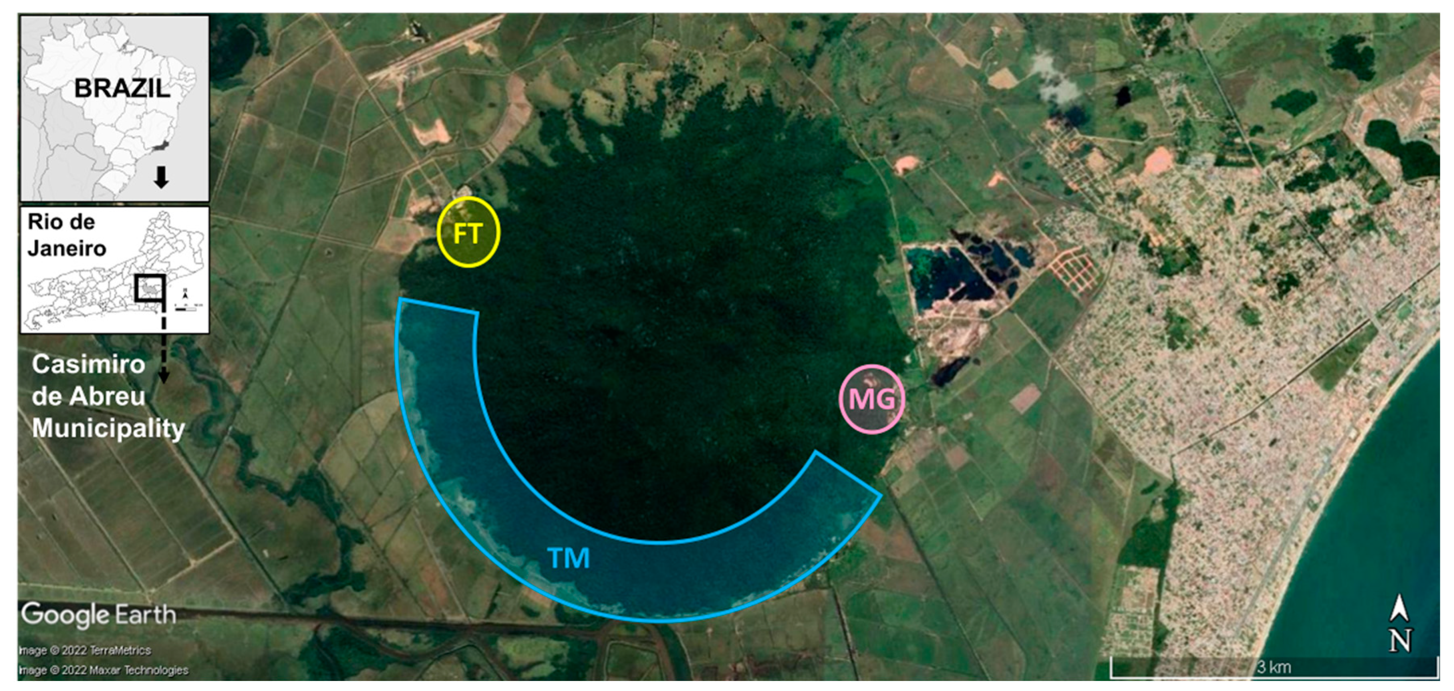 Life 13 00013 g001 Life 13 00013 g001