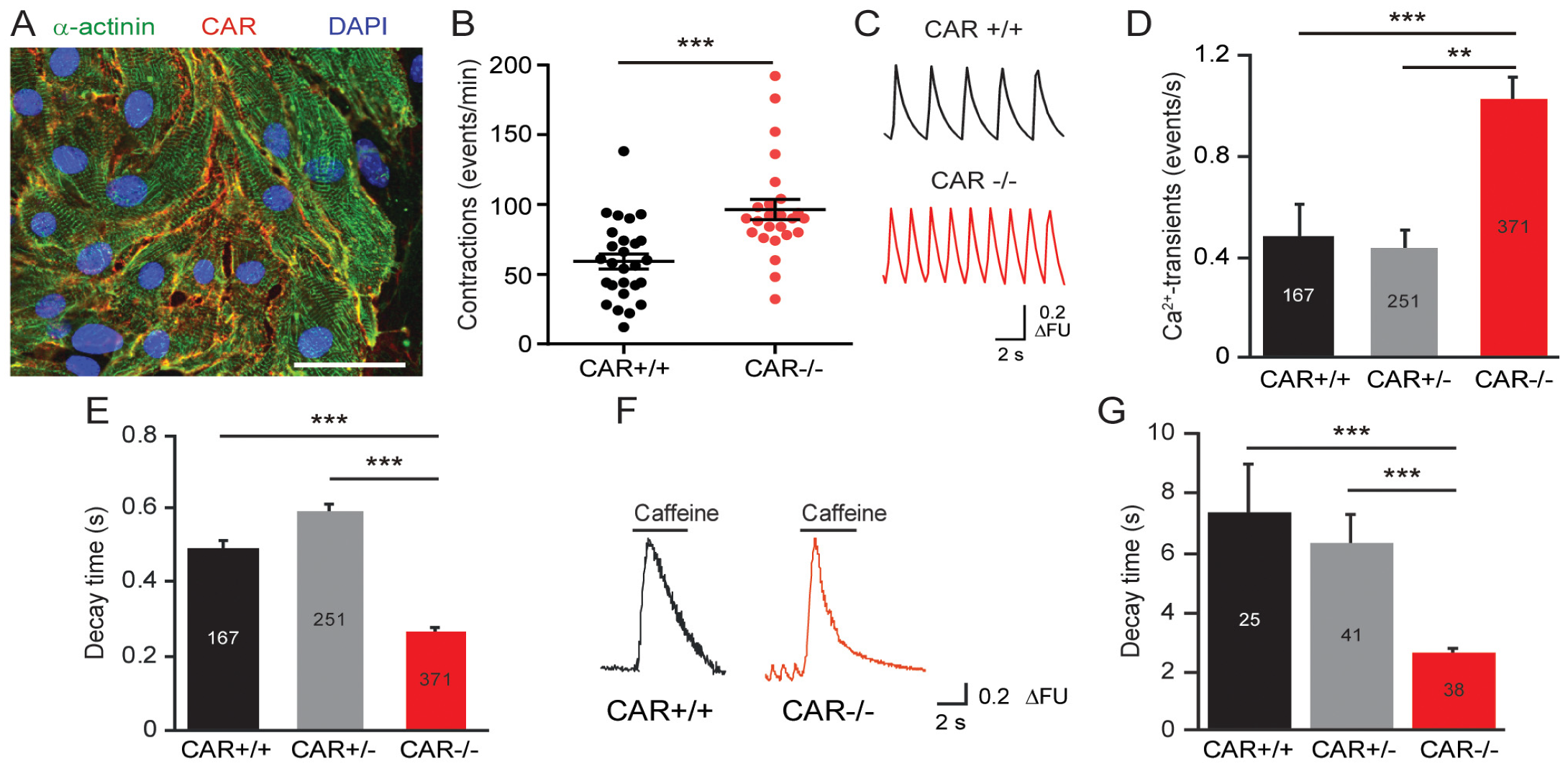 Life 13 00014 g001 Life 13 00014 g001