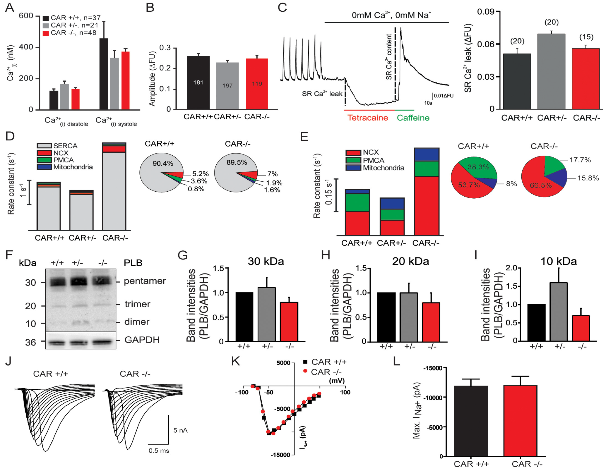 Life 13 00014 g002 Life 13 00014 g002