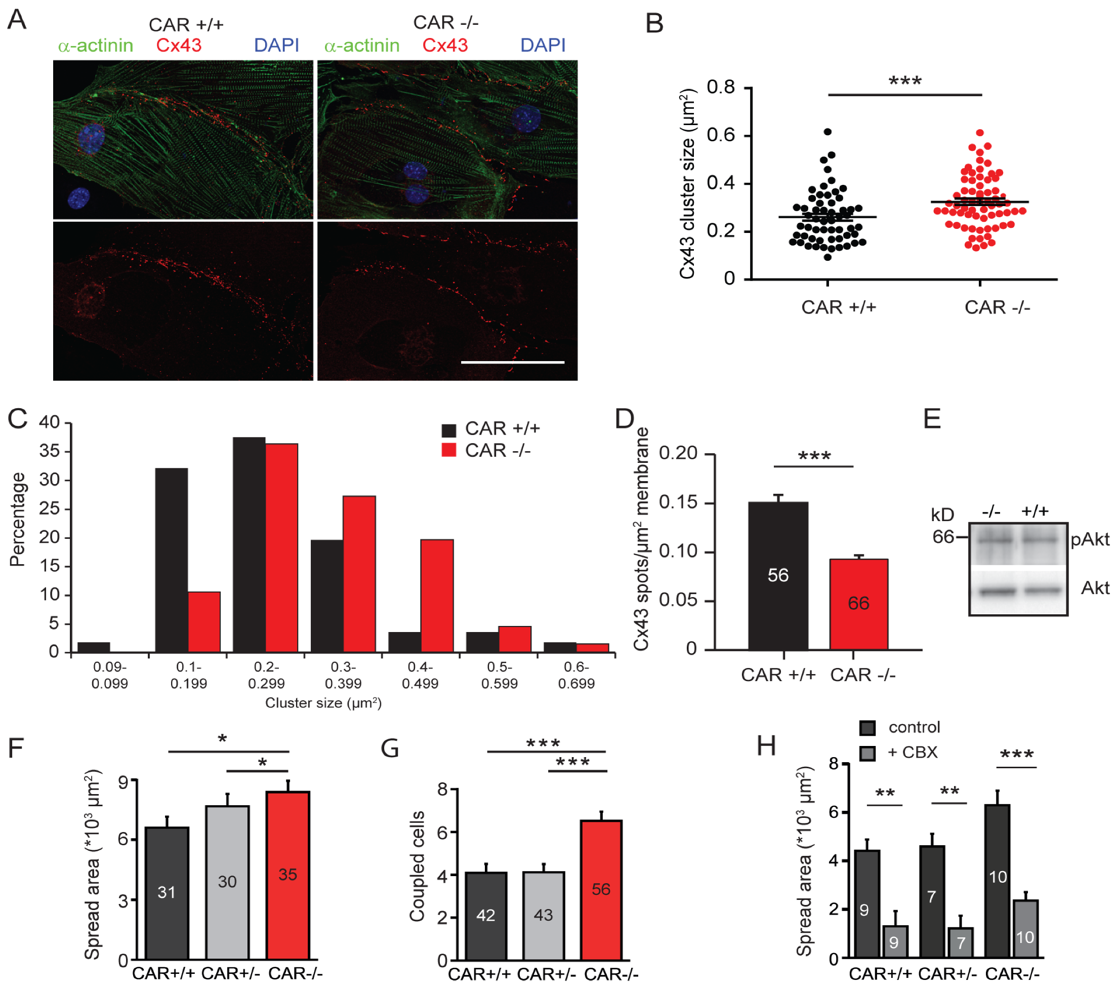 Life 13 00014 g003 Life 13 00014 g003