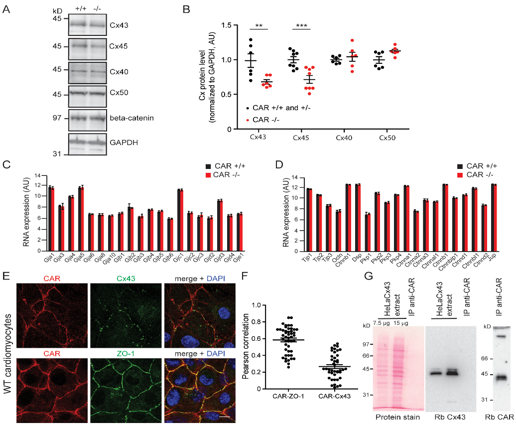 Life 13 00014 g004 Life 13 00014 g004