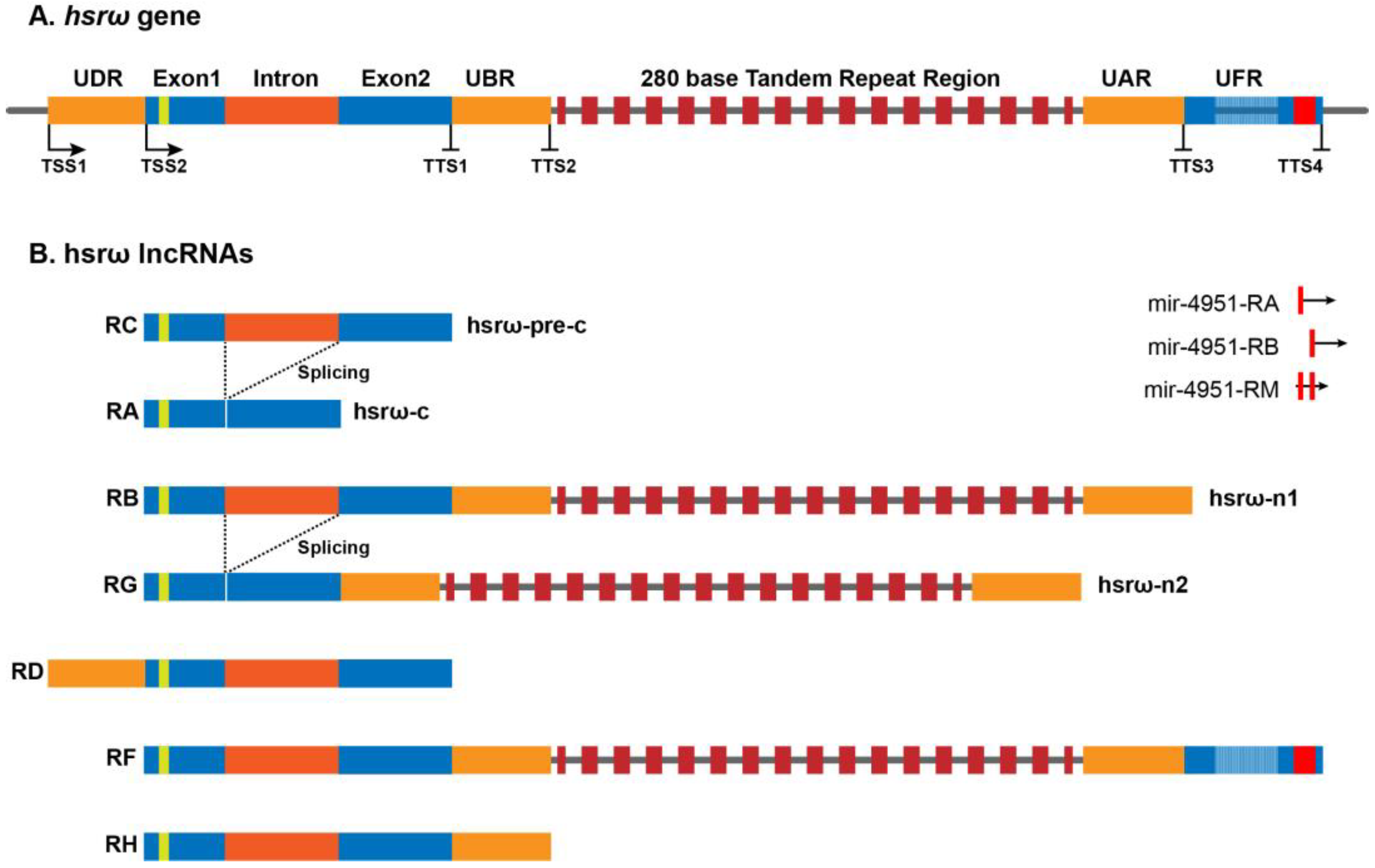 Life 13 00017 g001 Life 13 00017 g001