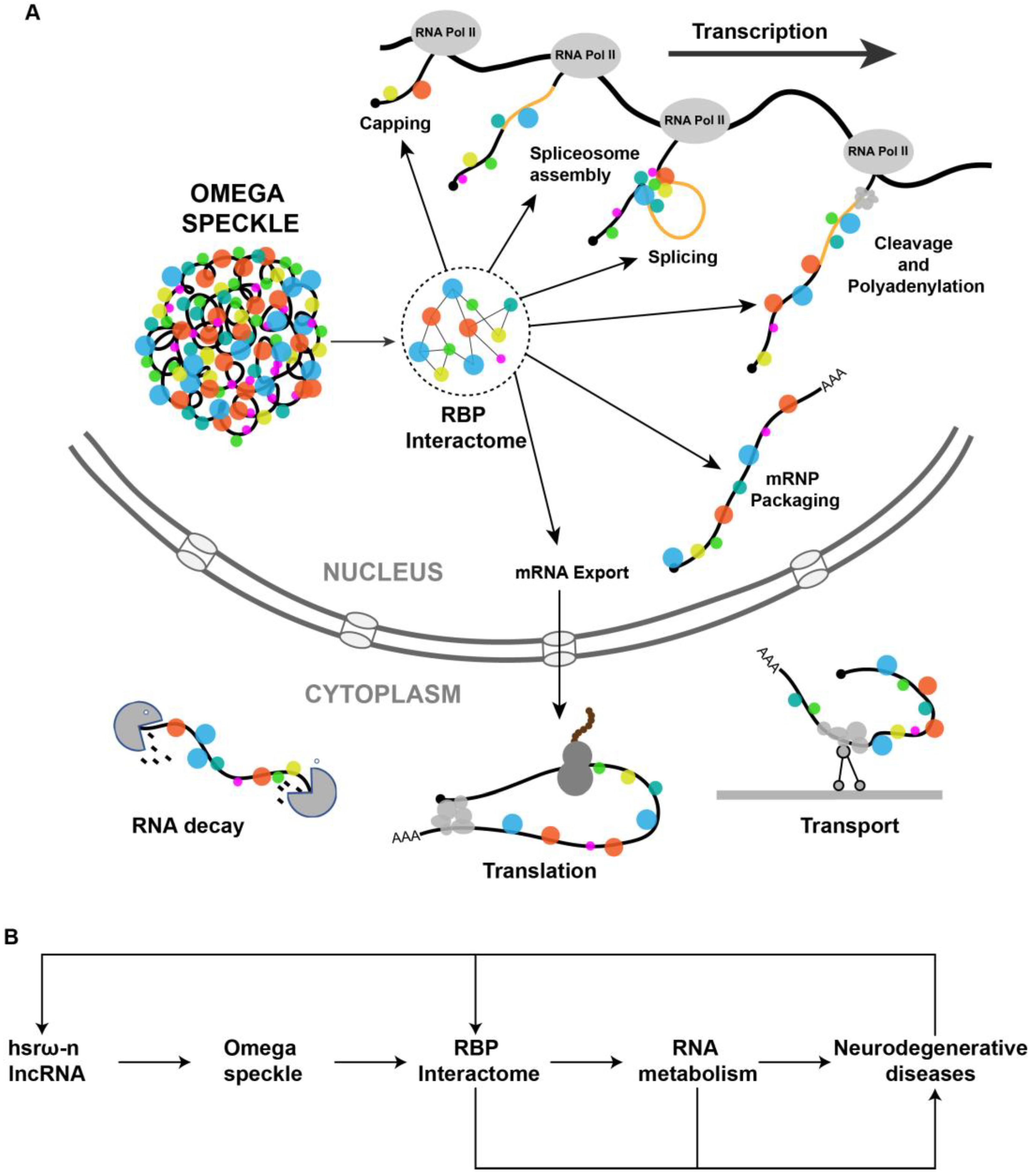 Life 13 00017 g002 Life 13 00017 g002