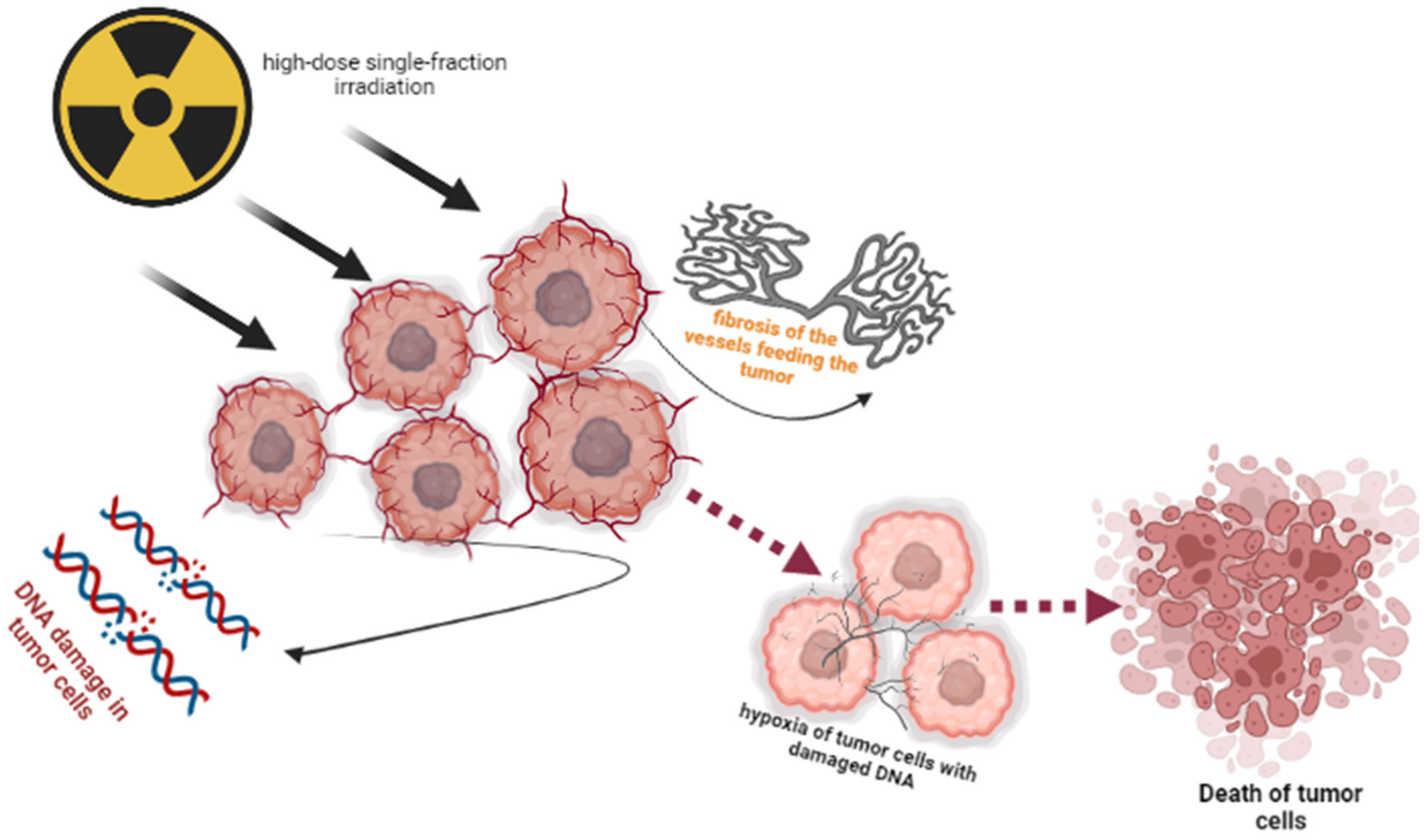Life 13 00030 g002 Life 13 00030 g002