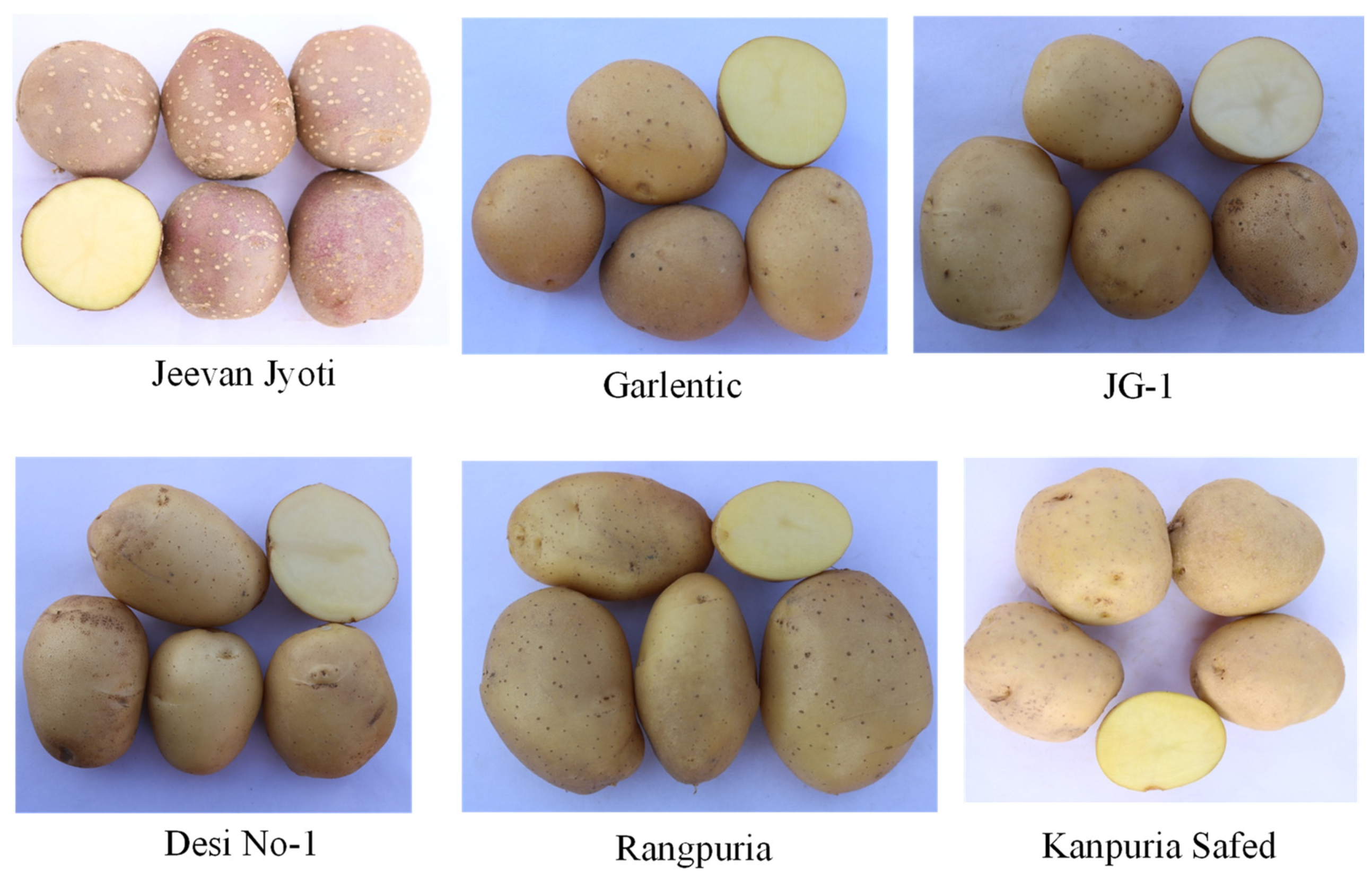 Life 13 00033 g001 Life 13 00033 g001