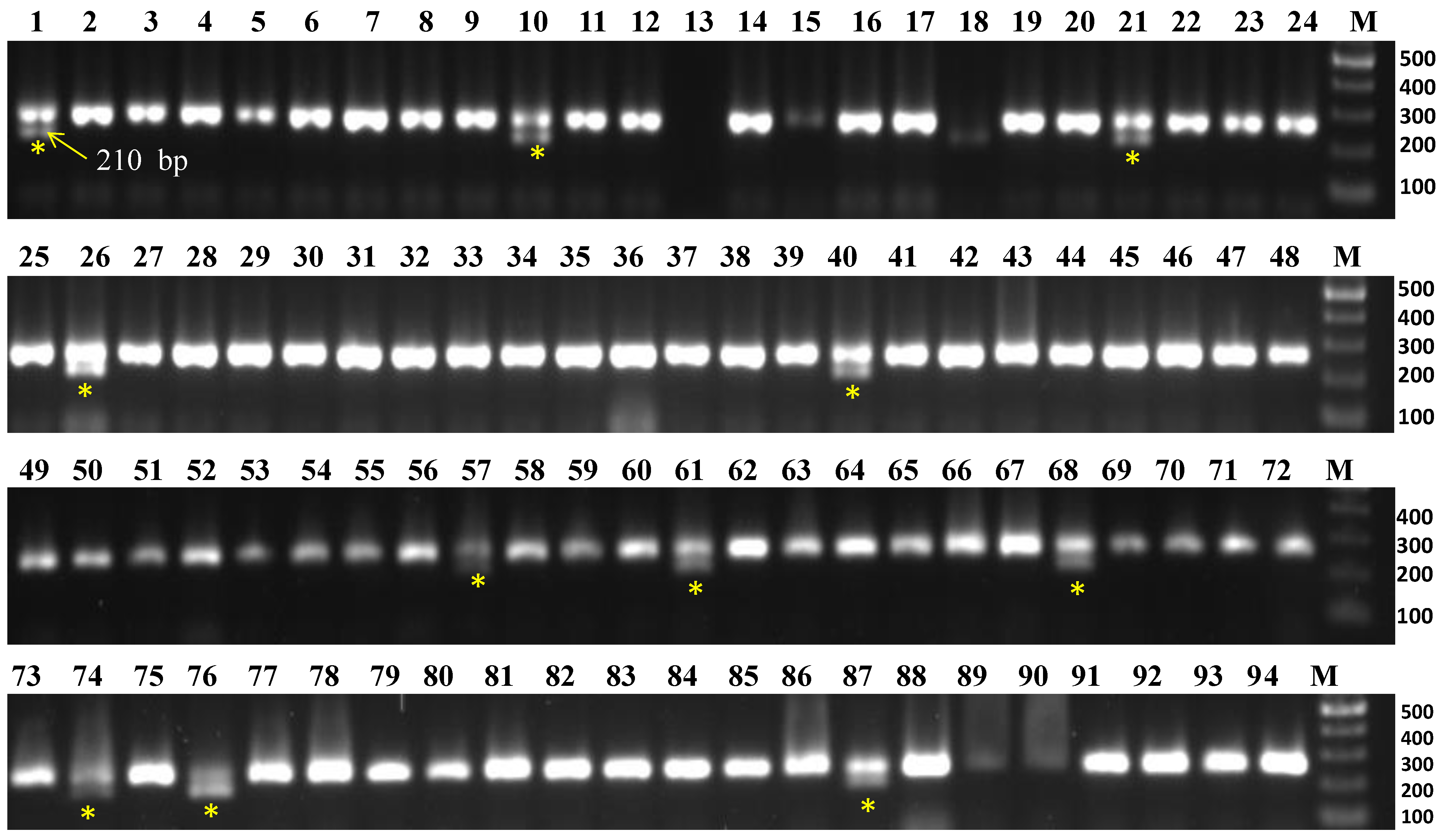 Life 13 00033 g002 Life 13 00033 g002