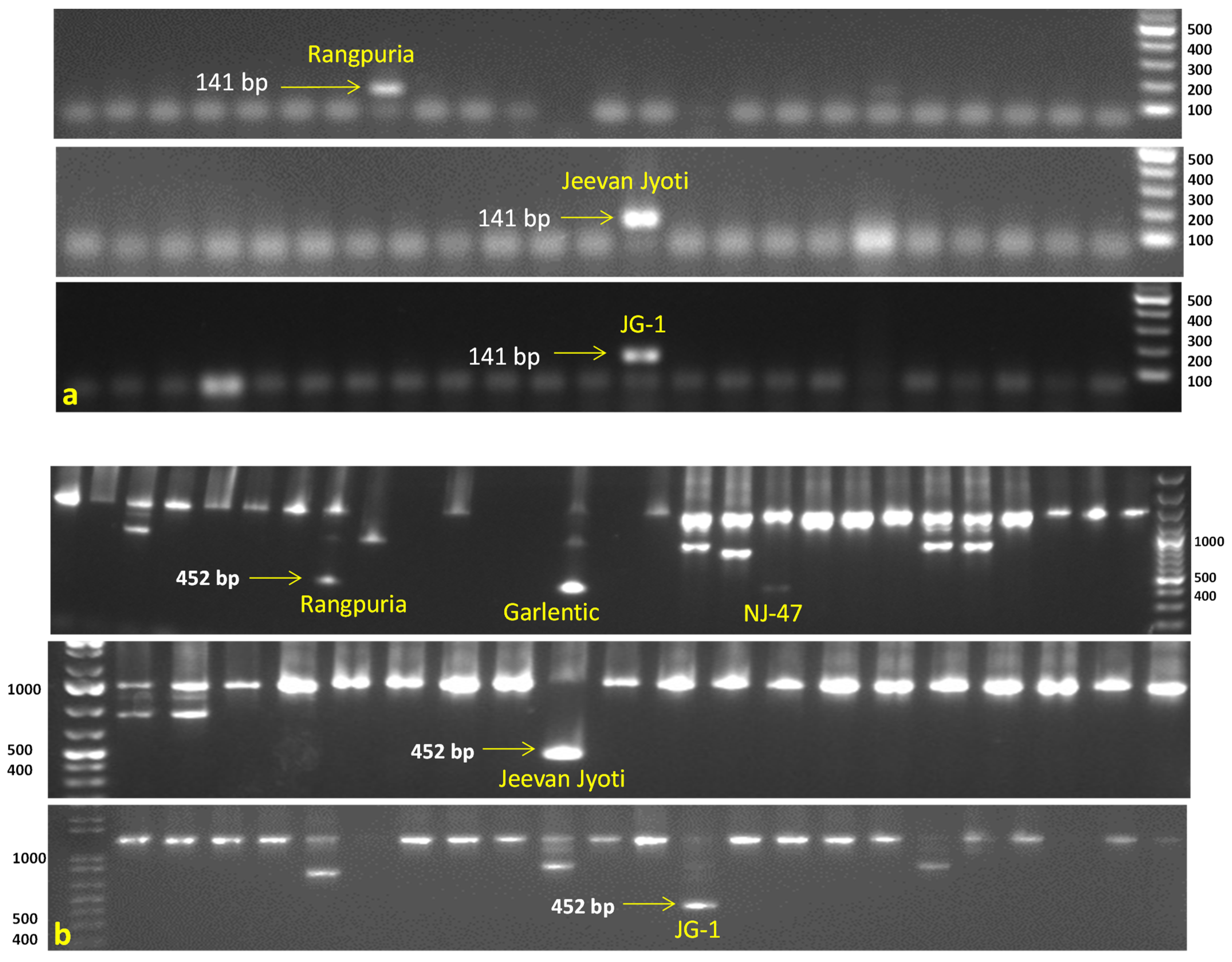 Life 13 00033 g003 Life 13 00033 g003