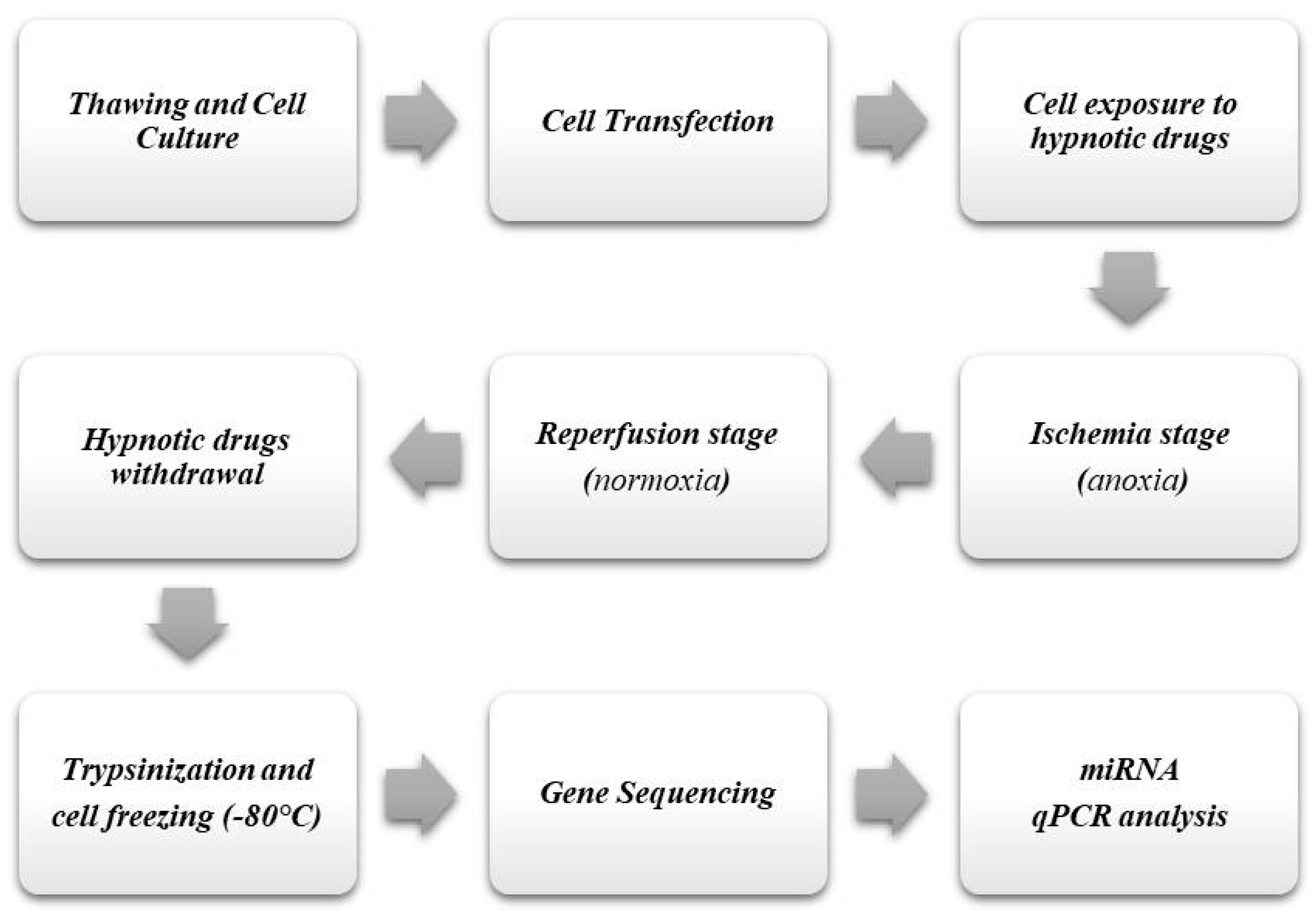 Life 13 00064 g001 Life 13 00064 g001