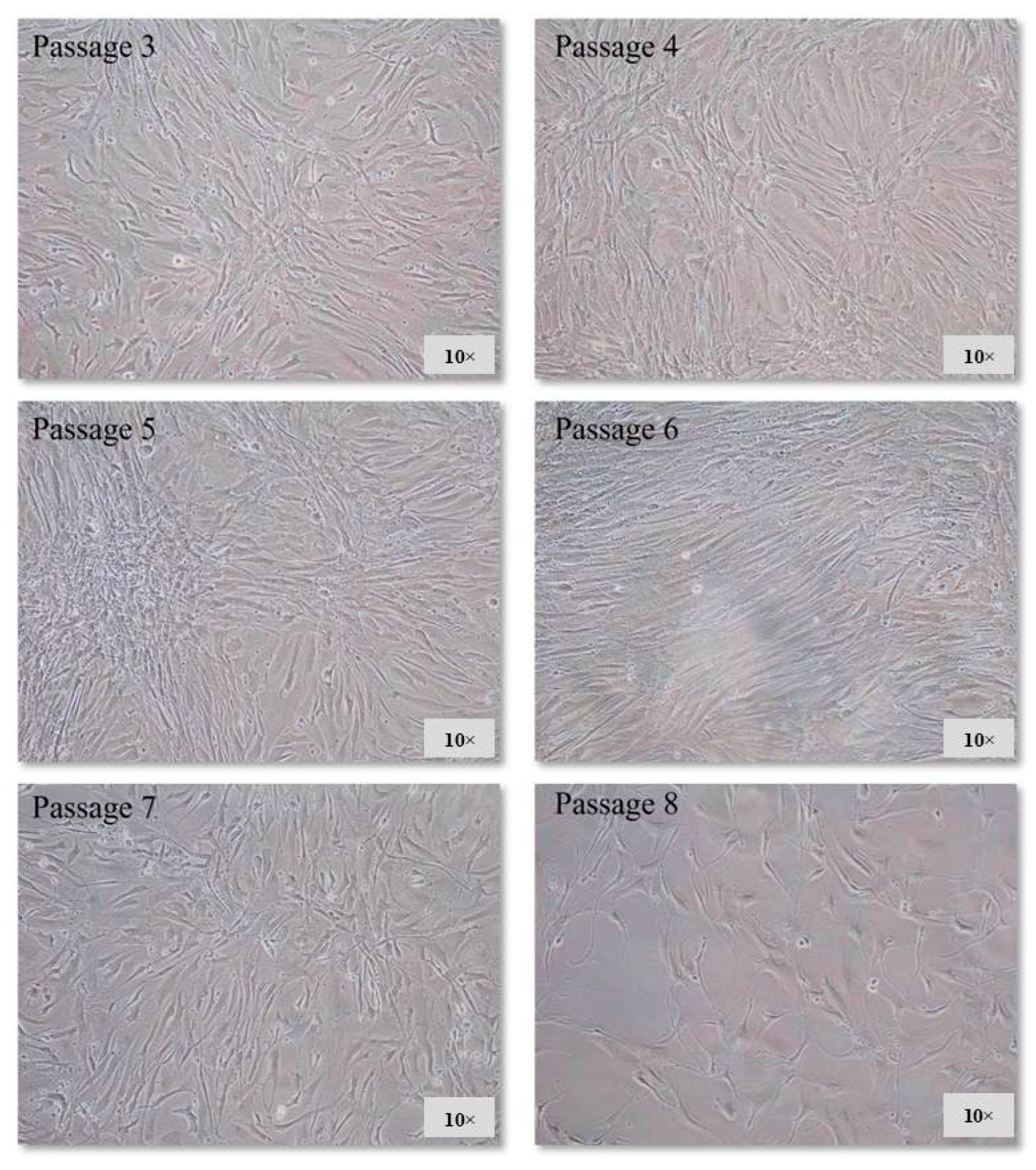 Life 13 00064 g002 Life 13 00064 g002