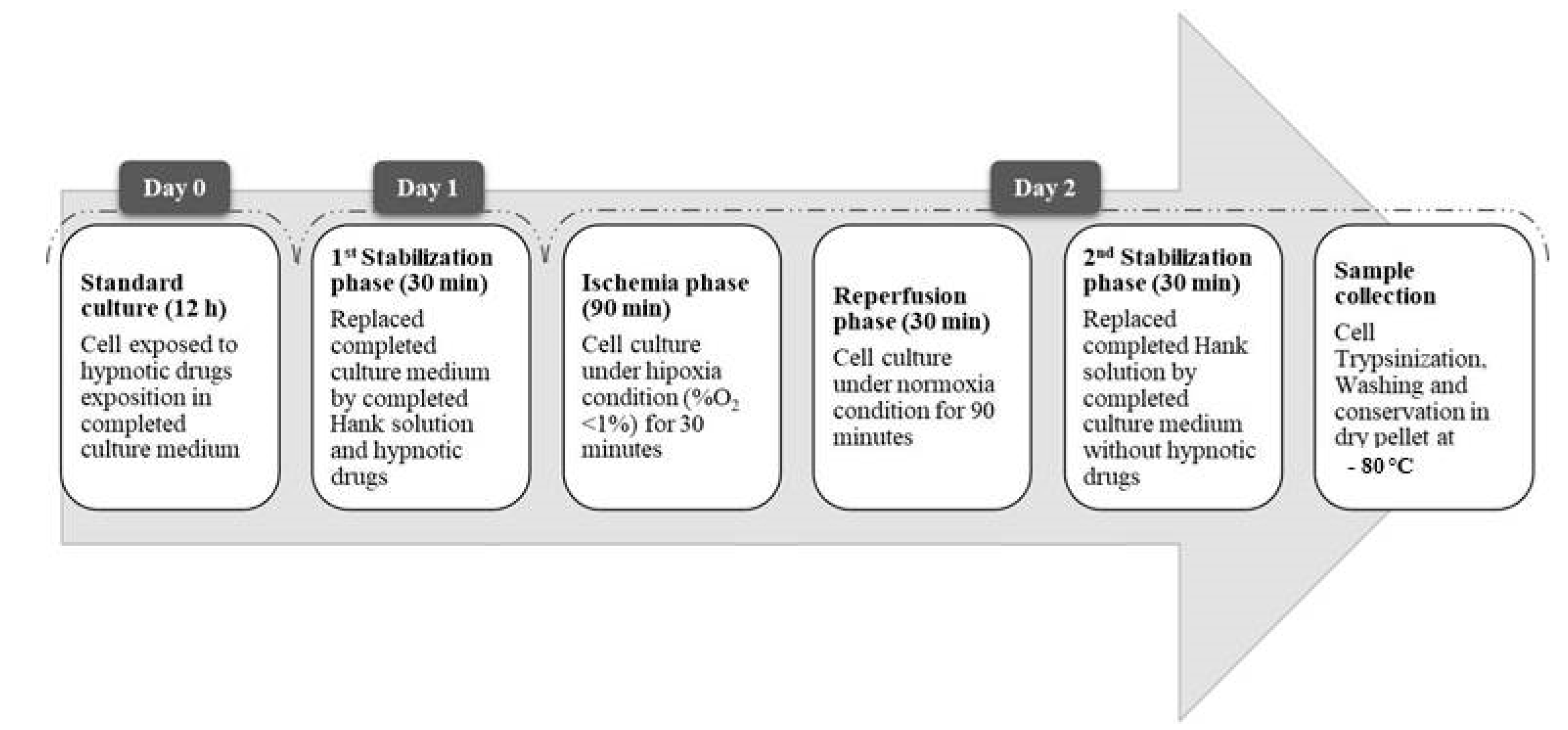 Life 13 00064 g005 Life 13 00064 g005